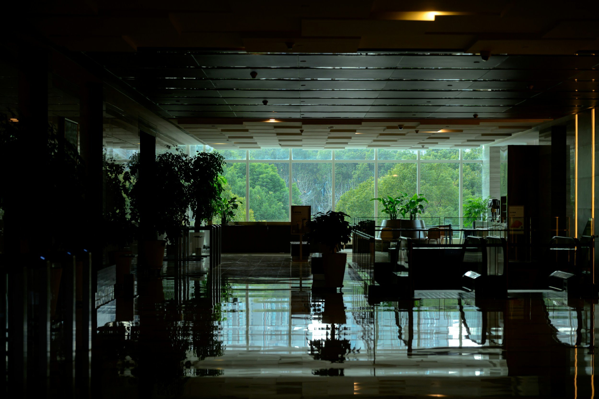 Interior of an airport terminal or lobby area with a large window showing greenery outside. There are plants inside, benches near the window, and reflections on a polished floor.