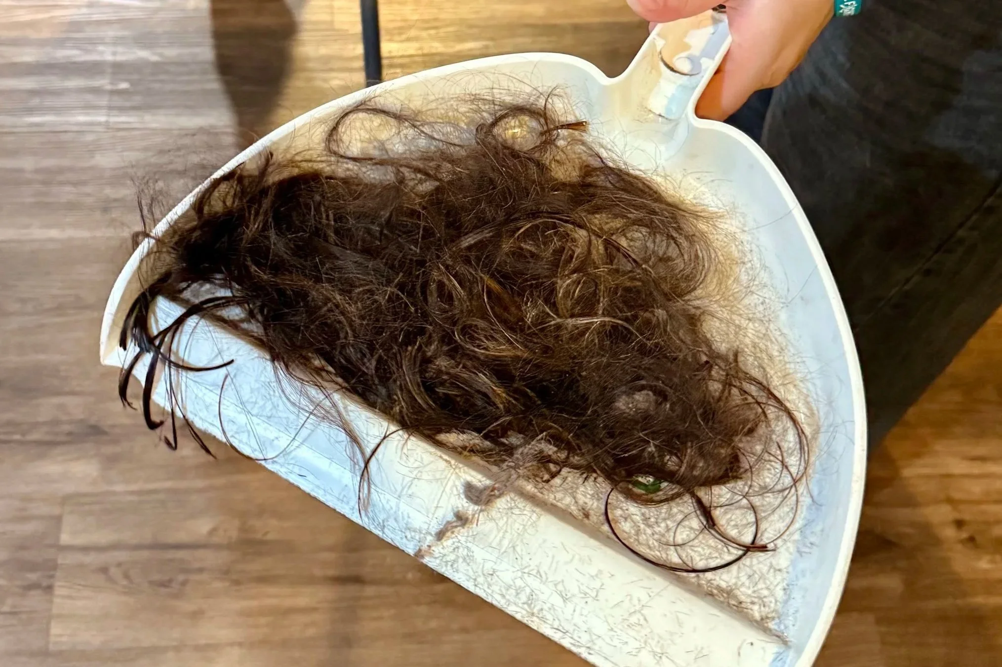 Wig Appointment