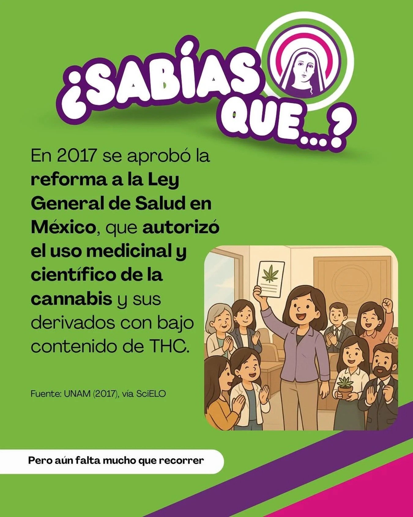 🌿 &iquest;Sab&iacute;as que&hellip;?
En 2017 se aprob&oacute; en M&eacute;xico una reforma hist&oacute;rica:
La Ley General de Salud fue modificada para permitir el uso medicinal y cient&iacute;fico de la cannabis y sus derivados con bajo contenido 
