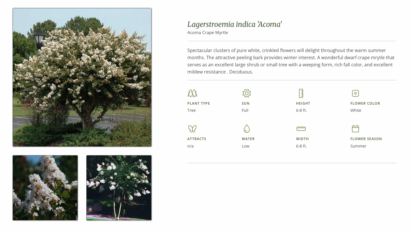 Screenshot 2026-01-07 at 3.34.18 PM.png