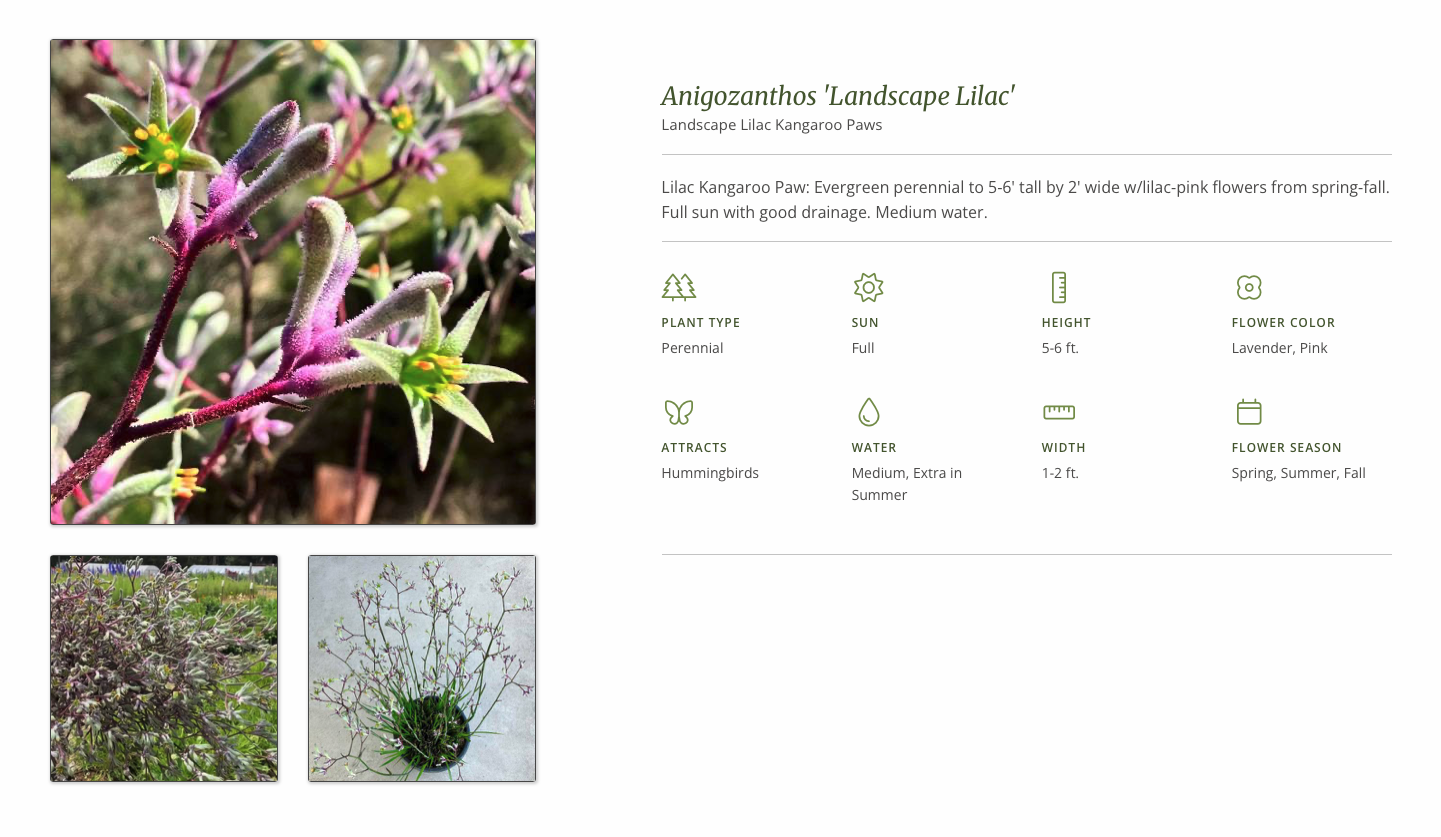 Screenshot 2026-01-07 at 3.20.39 PM.png