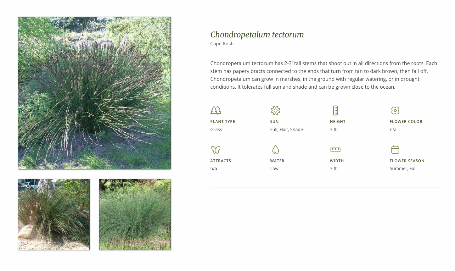 Screenshot 2026-01-07 at 3.33.45 PM.png