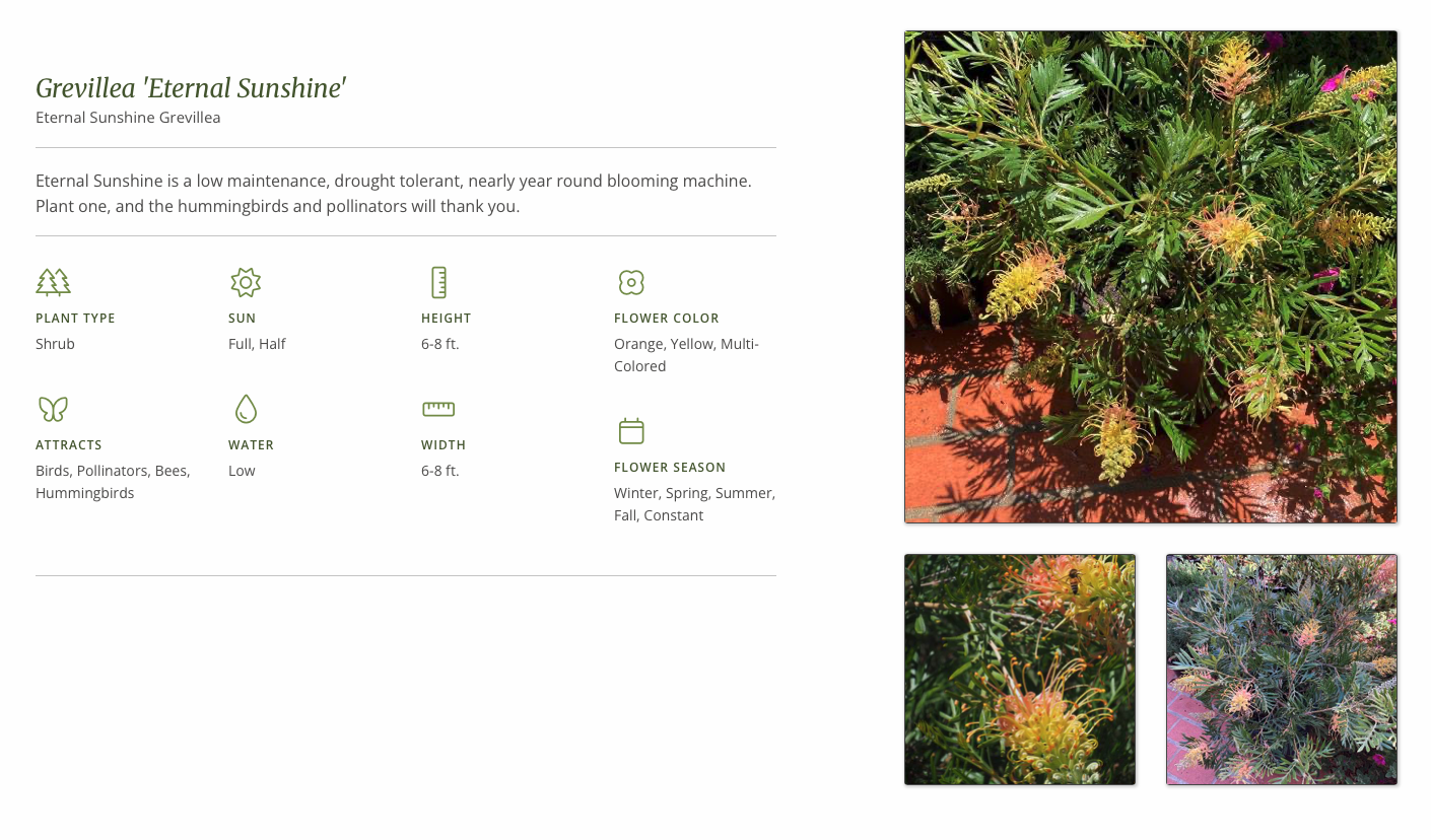 Screenshot 2026-01-07 at 3.20.57 PM.png