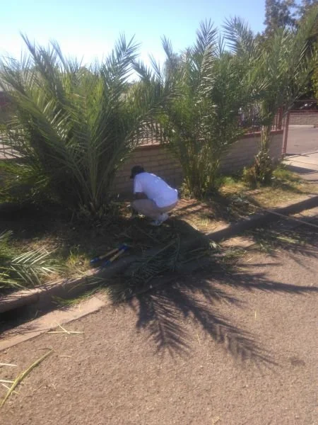 Neighborhood-clean-up-10-24-2015-9.jpg