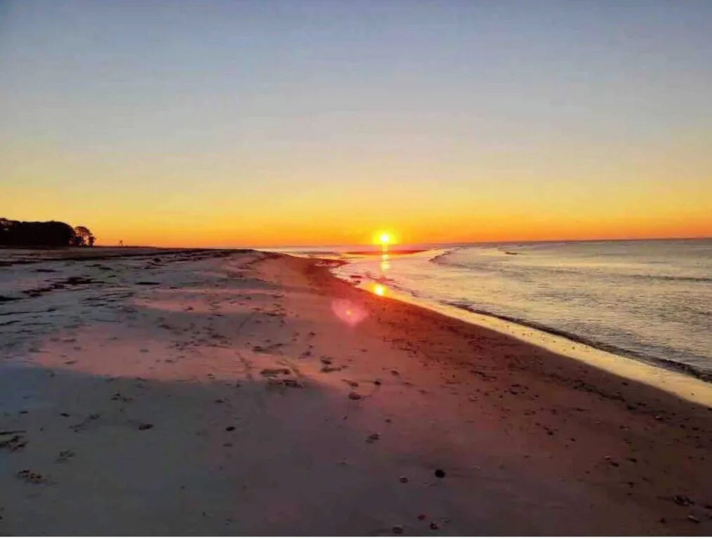 Sunset on a sandy beach with footprints, calm ocean waves, and a few trees in the distance.