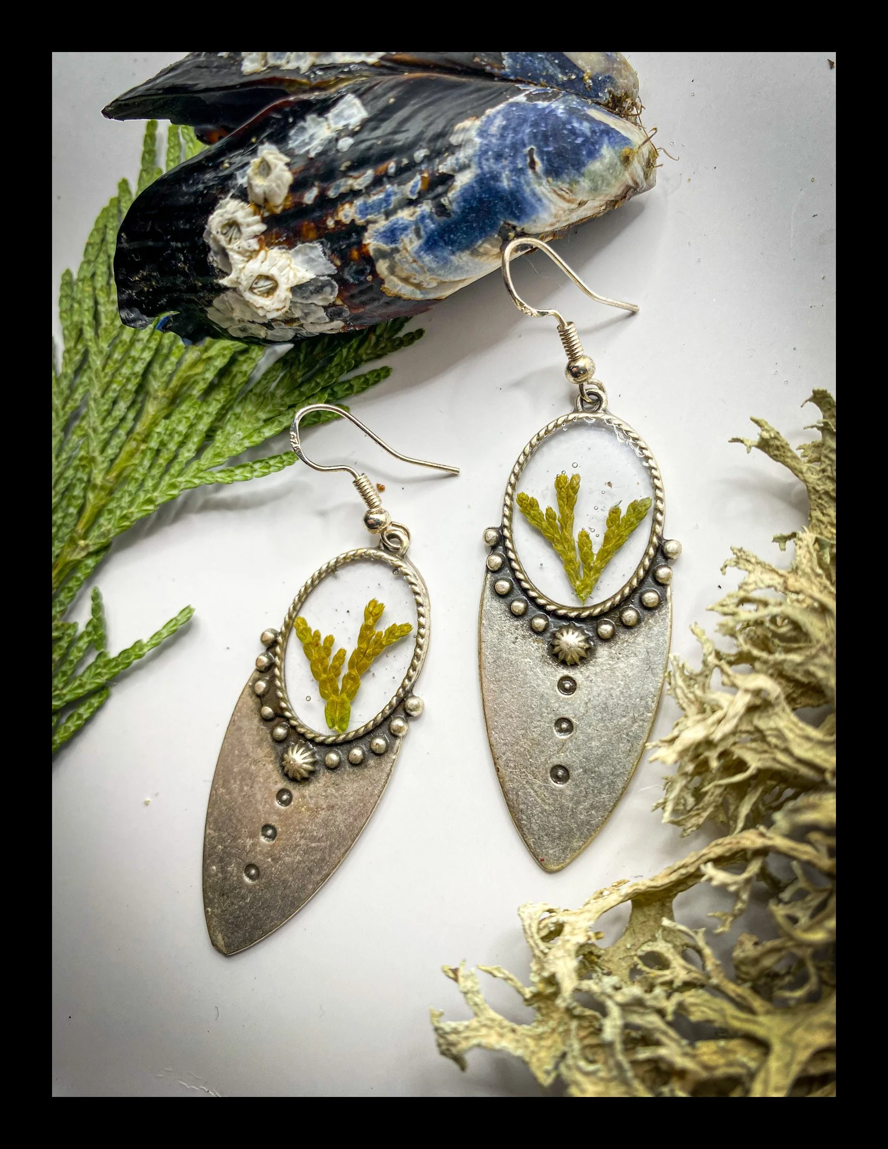 Western Red Cedar Dagger Earrings