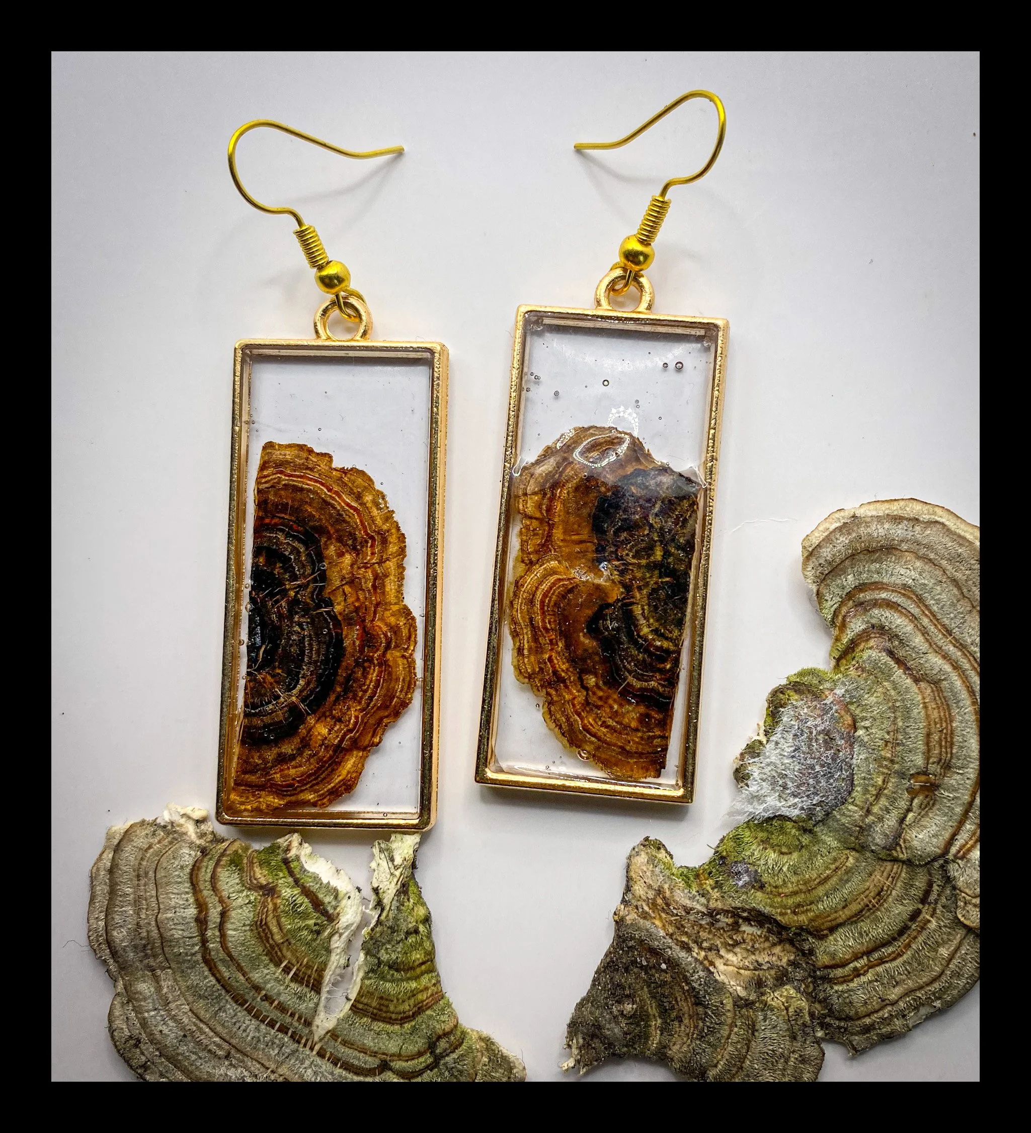 Turkey Tail Mushroom Earrings