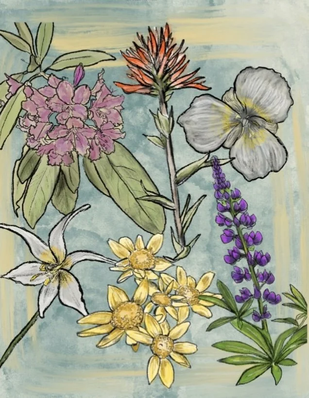 Illustration of various colorful flowers including pink rhododendron, orange bromeliad, white and yellow iris, white and yellow sunflower, and purple loosestrife against a light blue background.