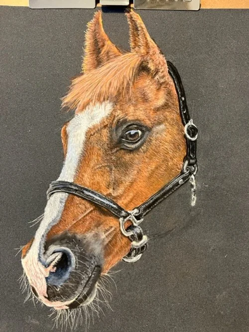 Close-up of a brown horse with a white stripe on its face, wearing a black bridle, standing in front of a dark background.