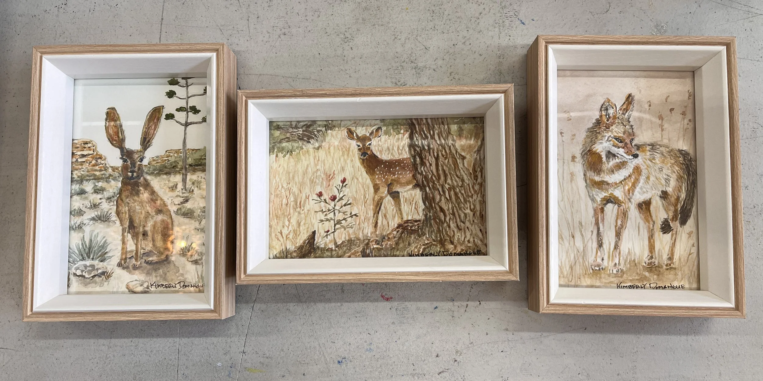 Collections & Miniatures