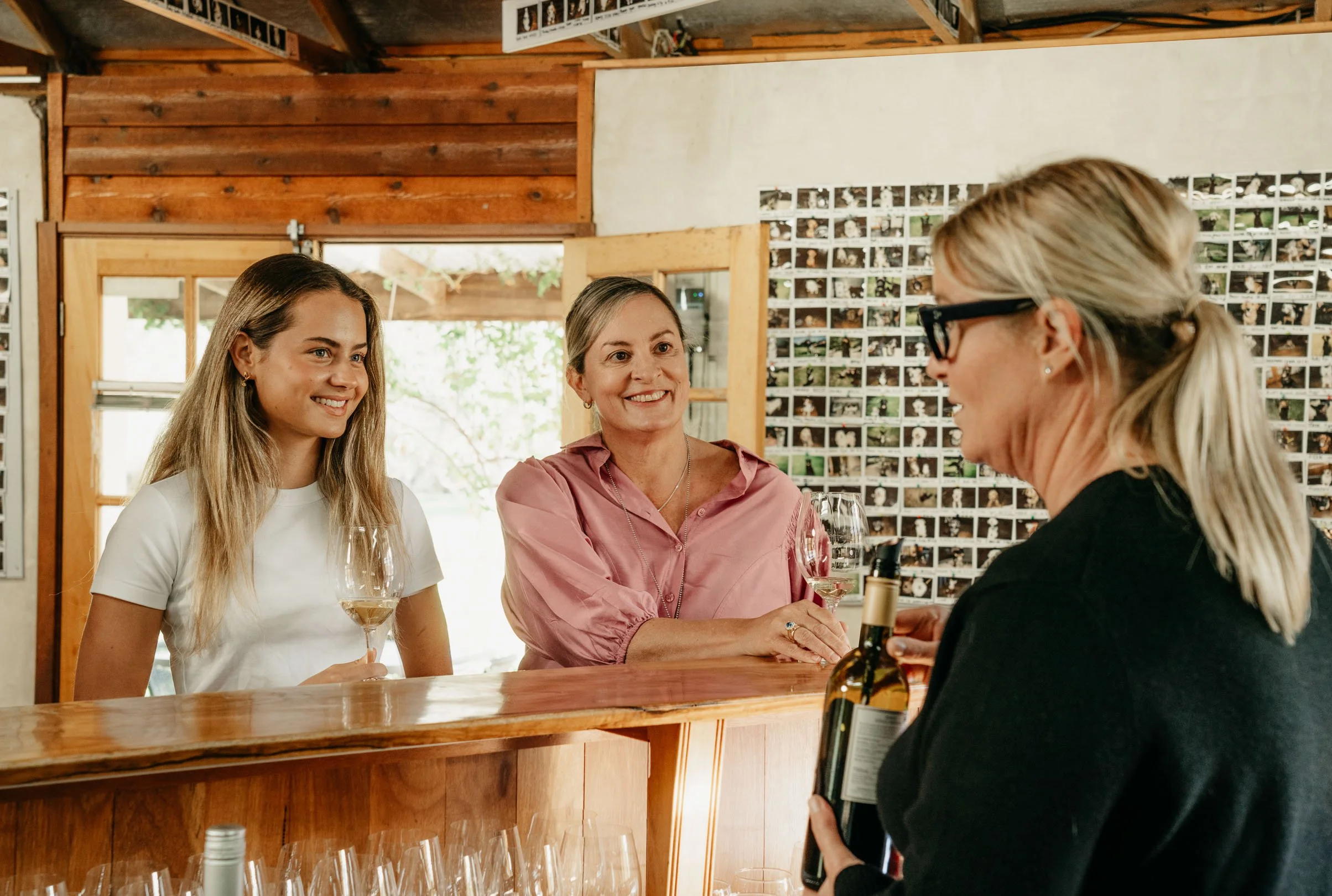 Cape Nat Vinyard (5).jpg