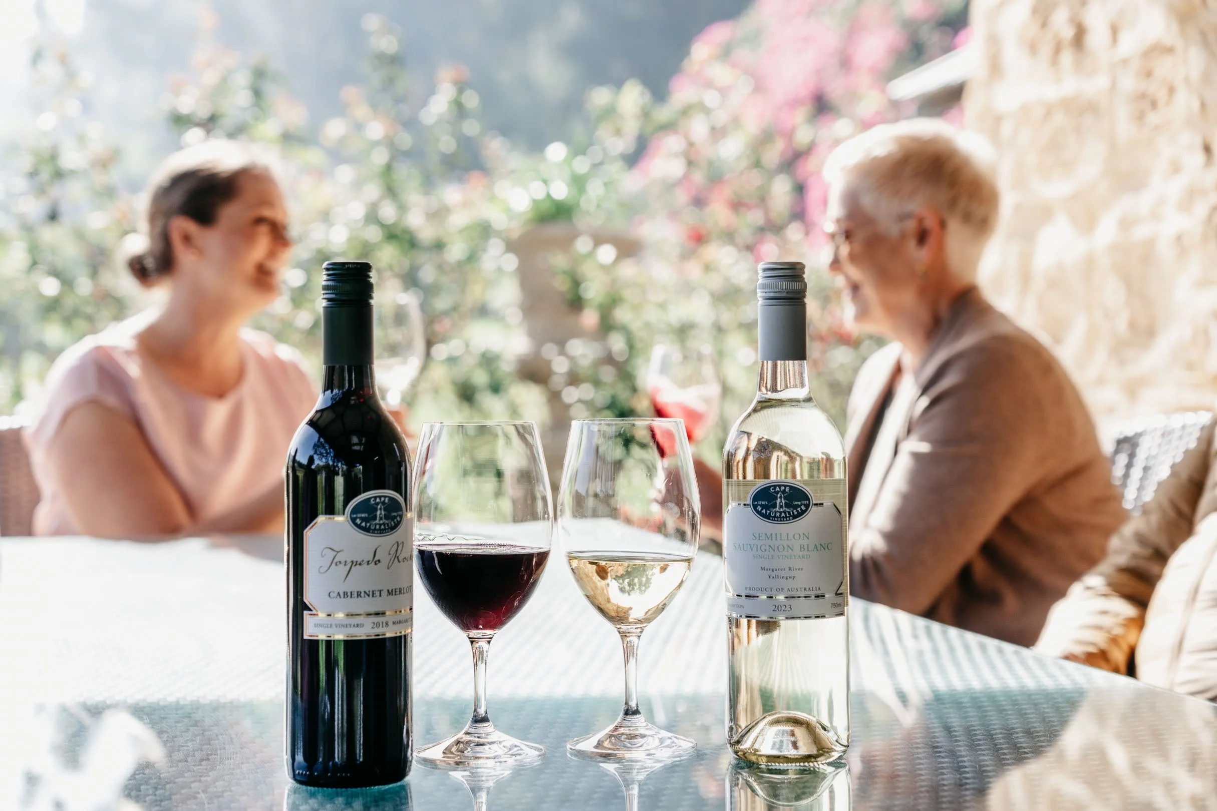 Cape Nat Vinyard (10).jpg