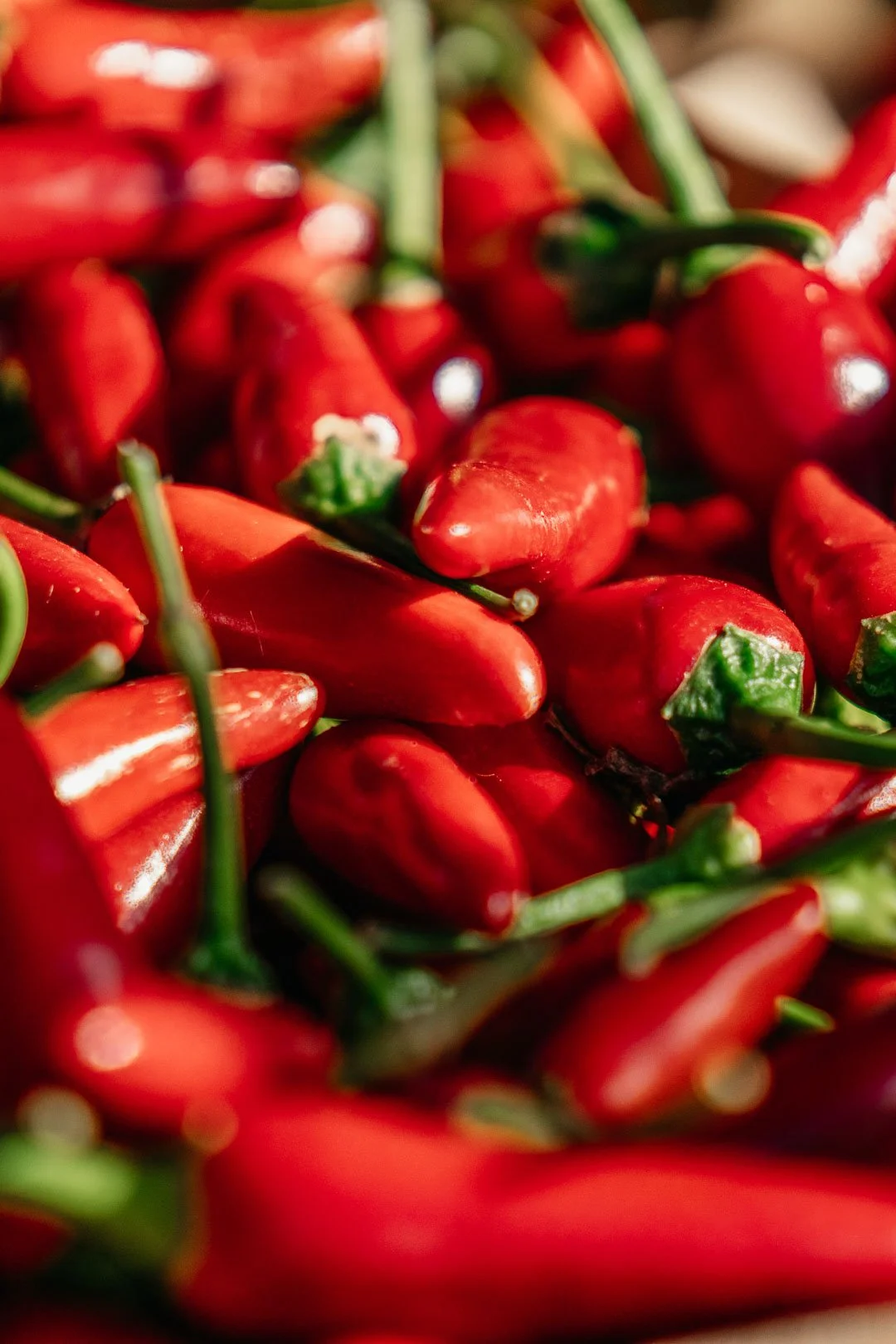 Farmers Market Winter (9).jpg