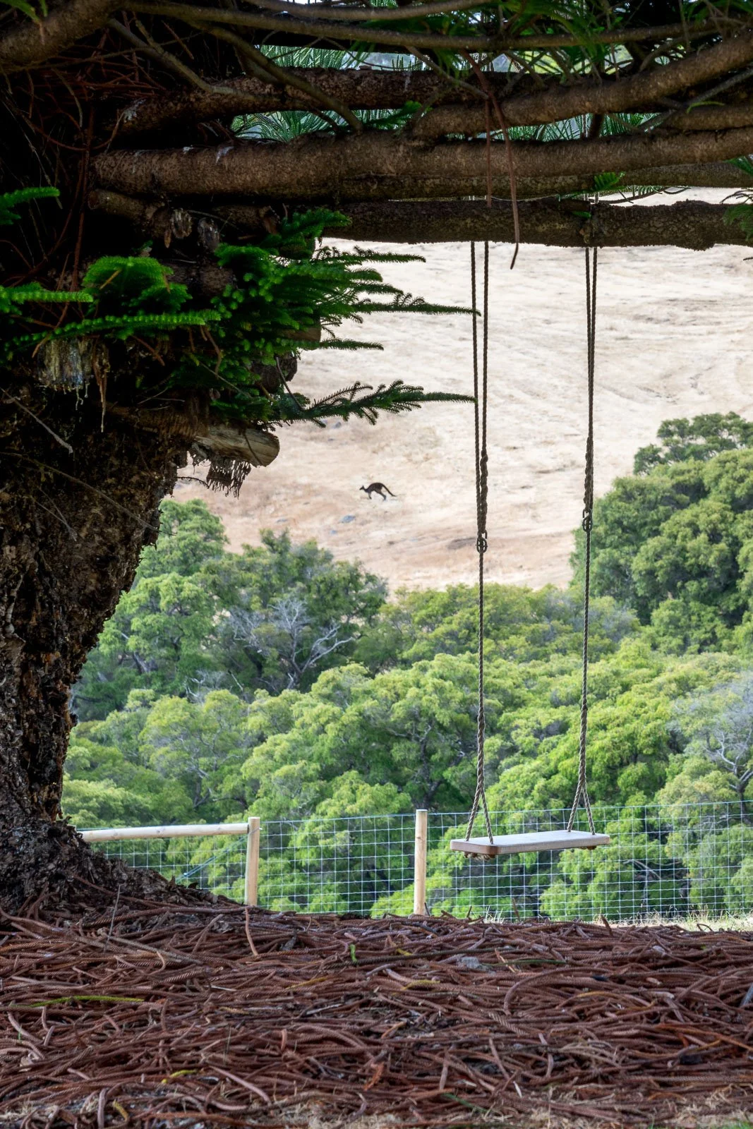 Treehouse platform with a wooden swing hanging from ropes, overlooking lush green trees and a canyon with a single dog running in the background.