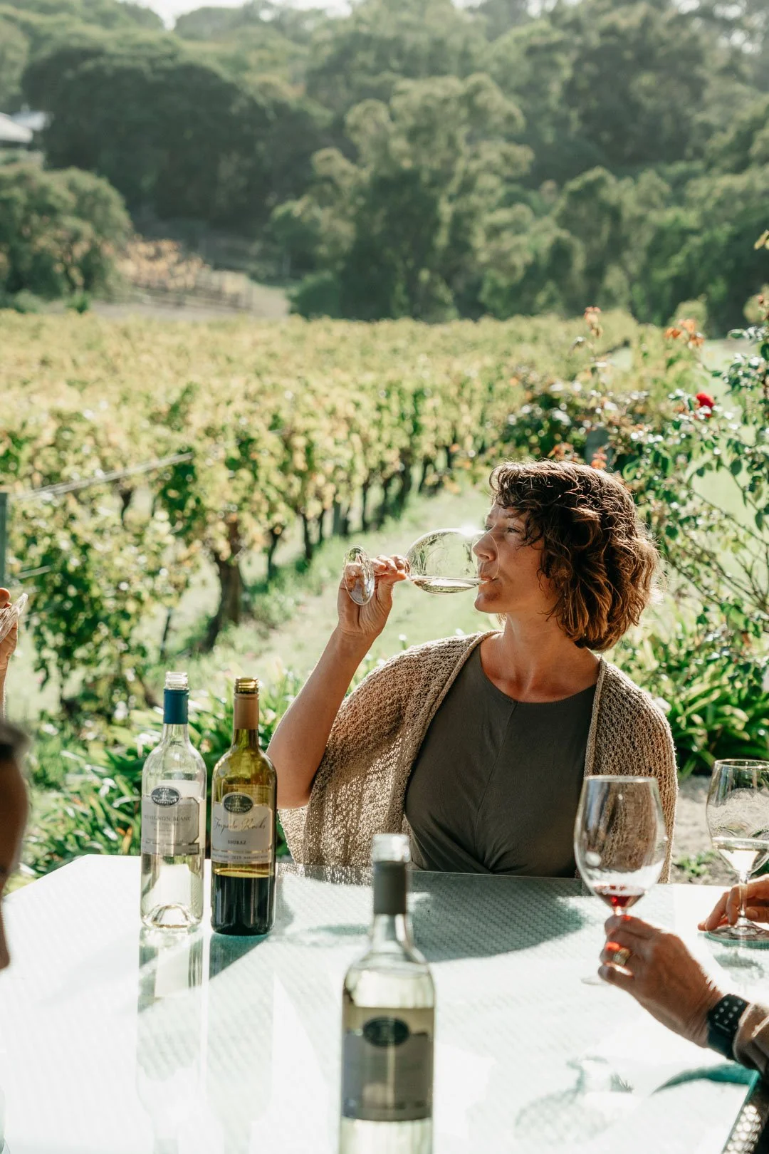 Cape Nat Vinyard (7).jpg