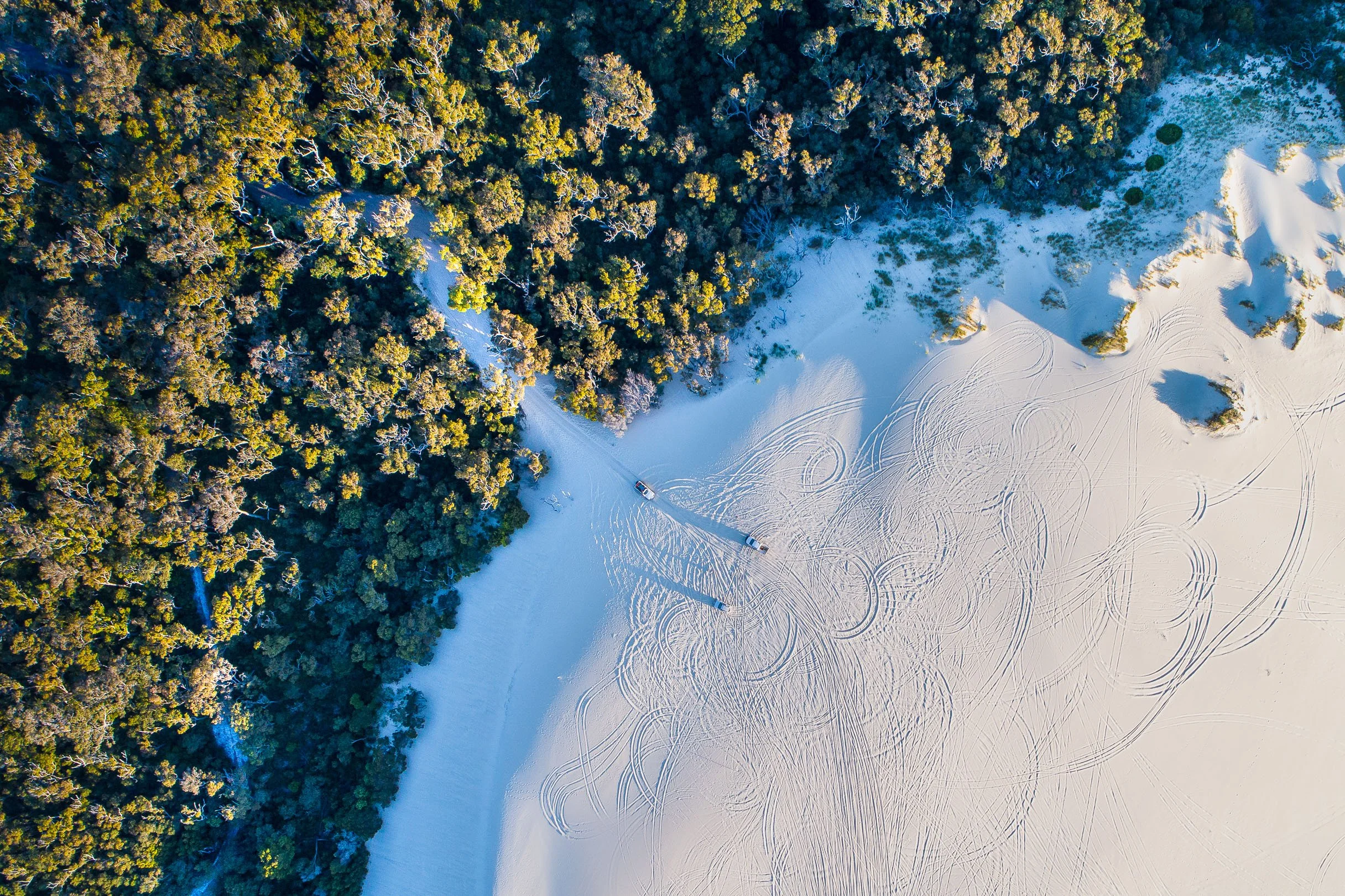Aerial view of a winter scene with snow-covered ground and tire tracks, alongside a dense forest of evergreen trees, with two vehicles driving through the snow.