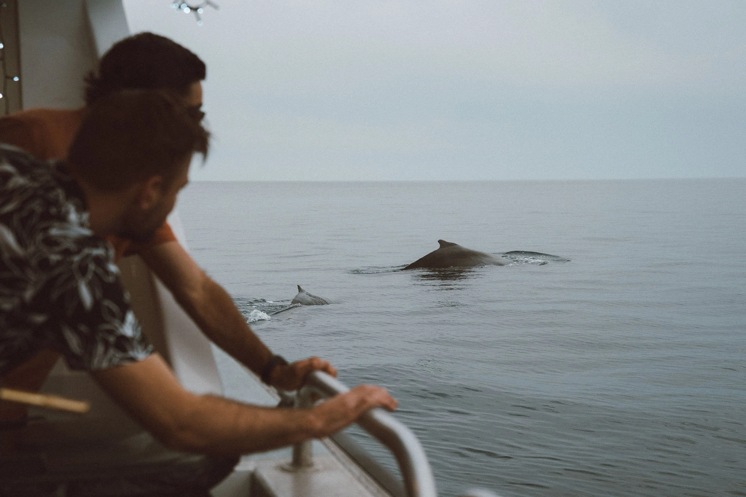 Wine on the Water_Fine Vines-Edited-14.jpg