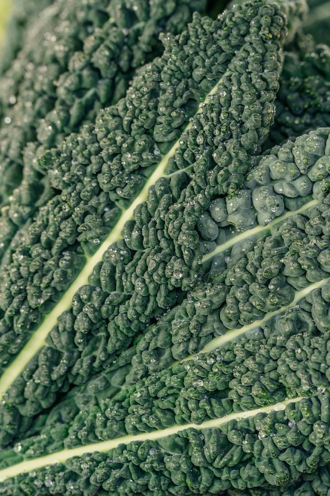 Farmers Market Winter (12).jpg