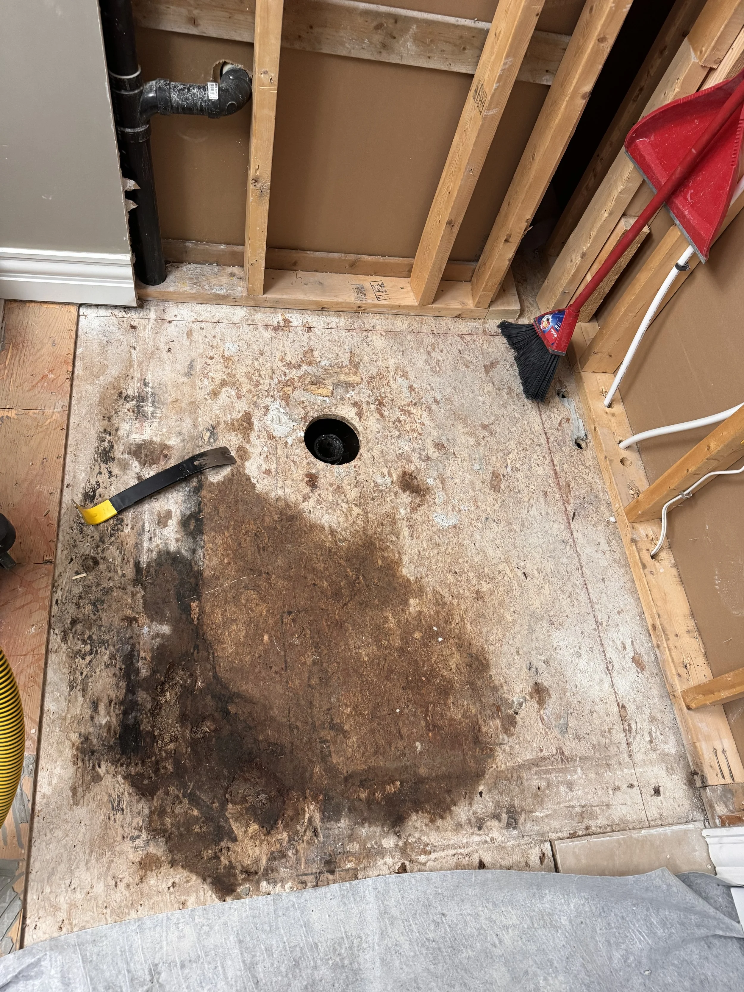 Rotten shower subfloor after a shower leaked through cracked grout. Shower installation Halifax, Dartmouth, Bedford, Lower Sackville, Hammonds Plains, Fall River, Timberlea