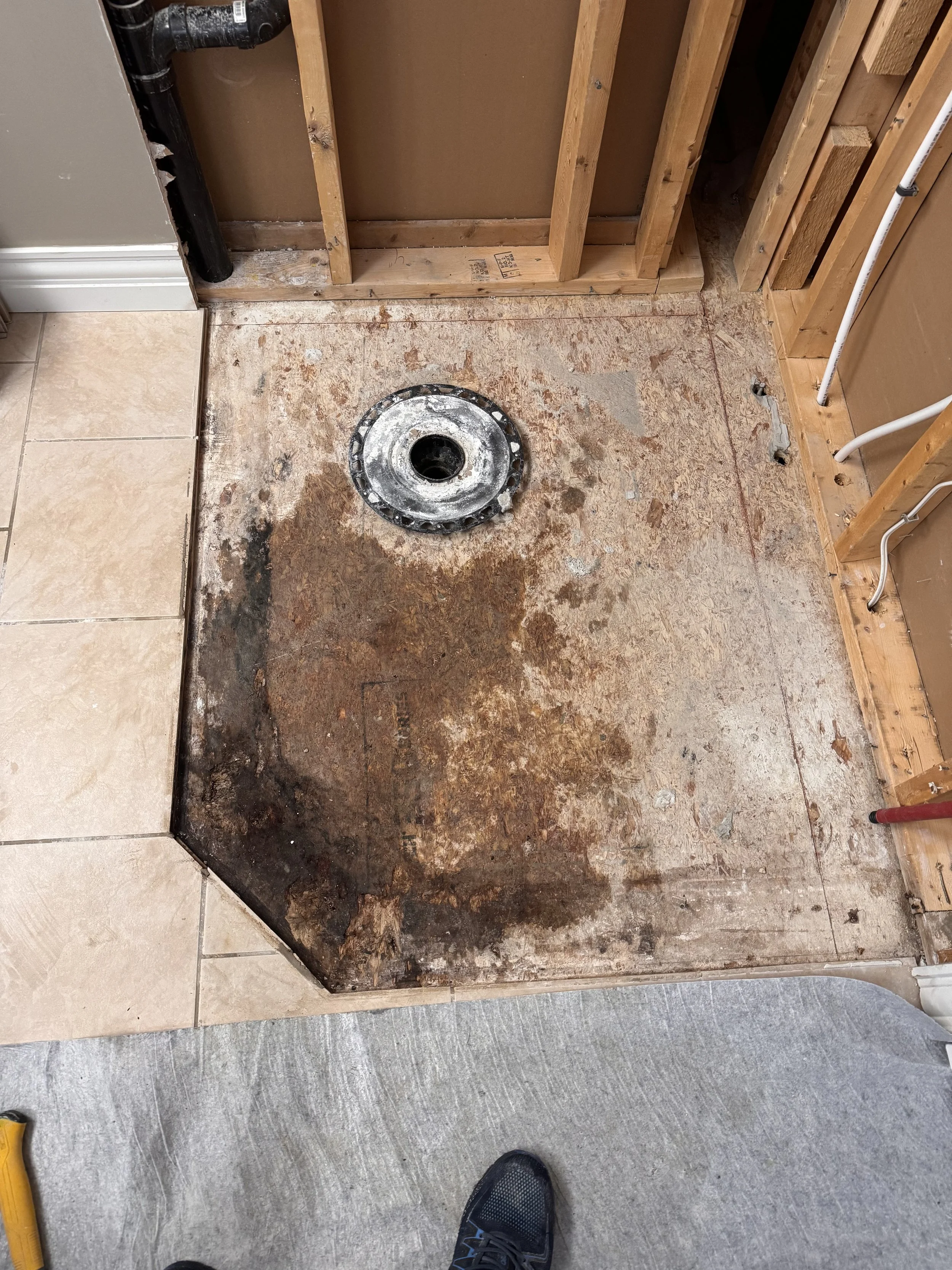 Rotten shower subfloor after a shower leaked through cracked grout. Shower installation Halifax, Dartmouth, Bedford, Lower Sackville, Hammonds Plains, Fall River, Timberlea