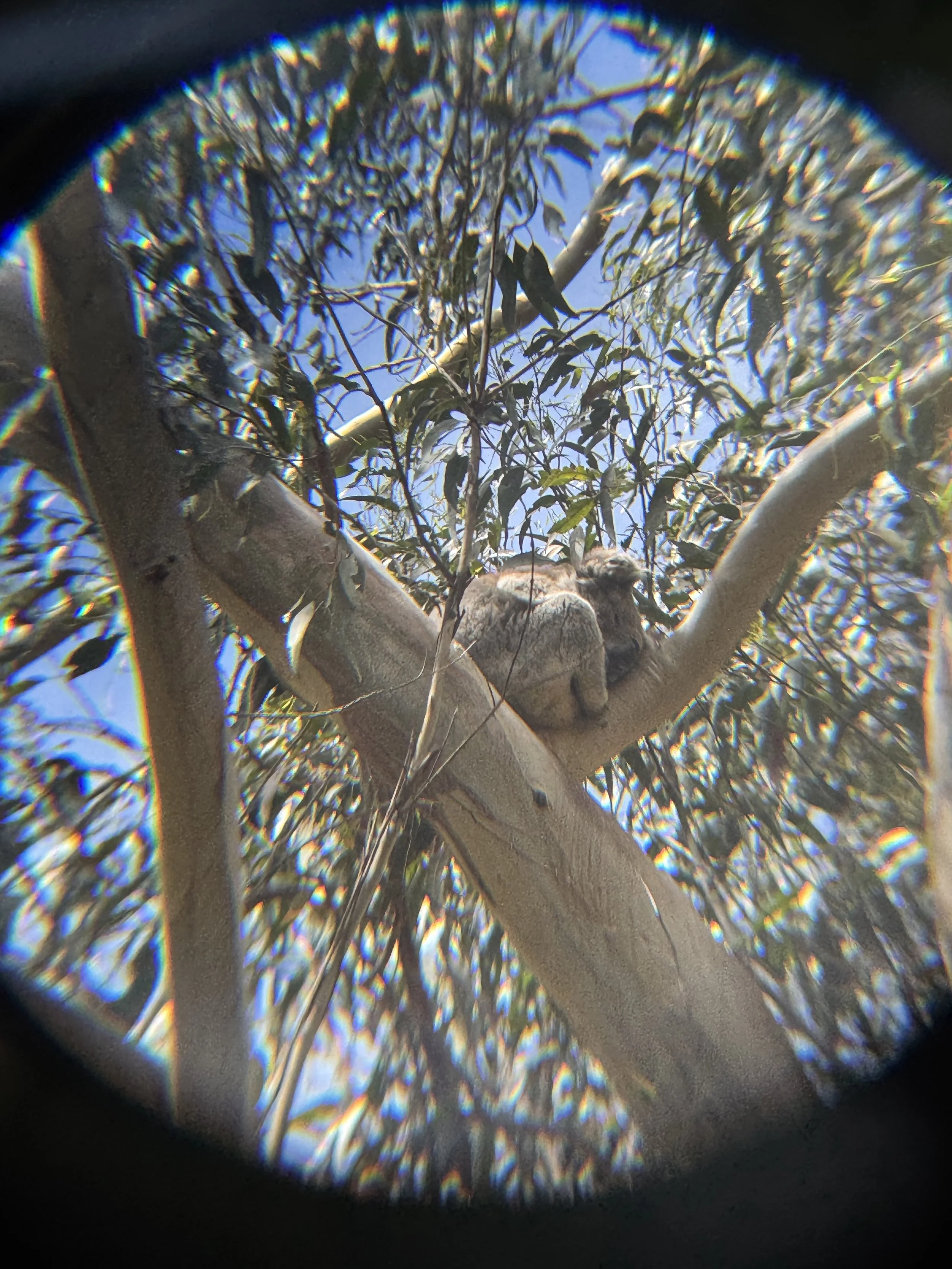 IMG_3688.jpg