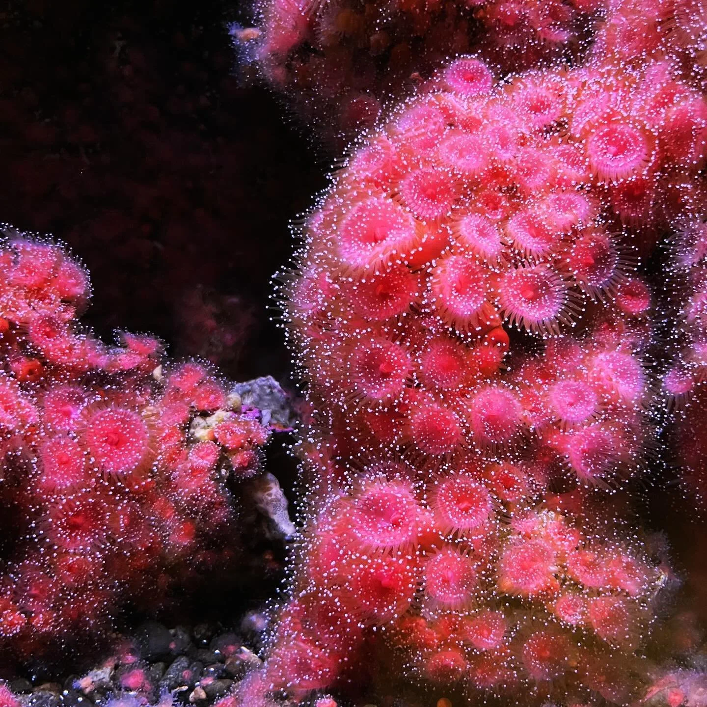 IMG_0142.JPG