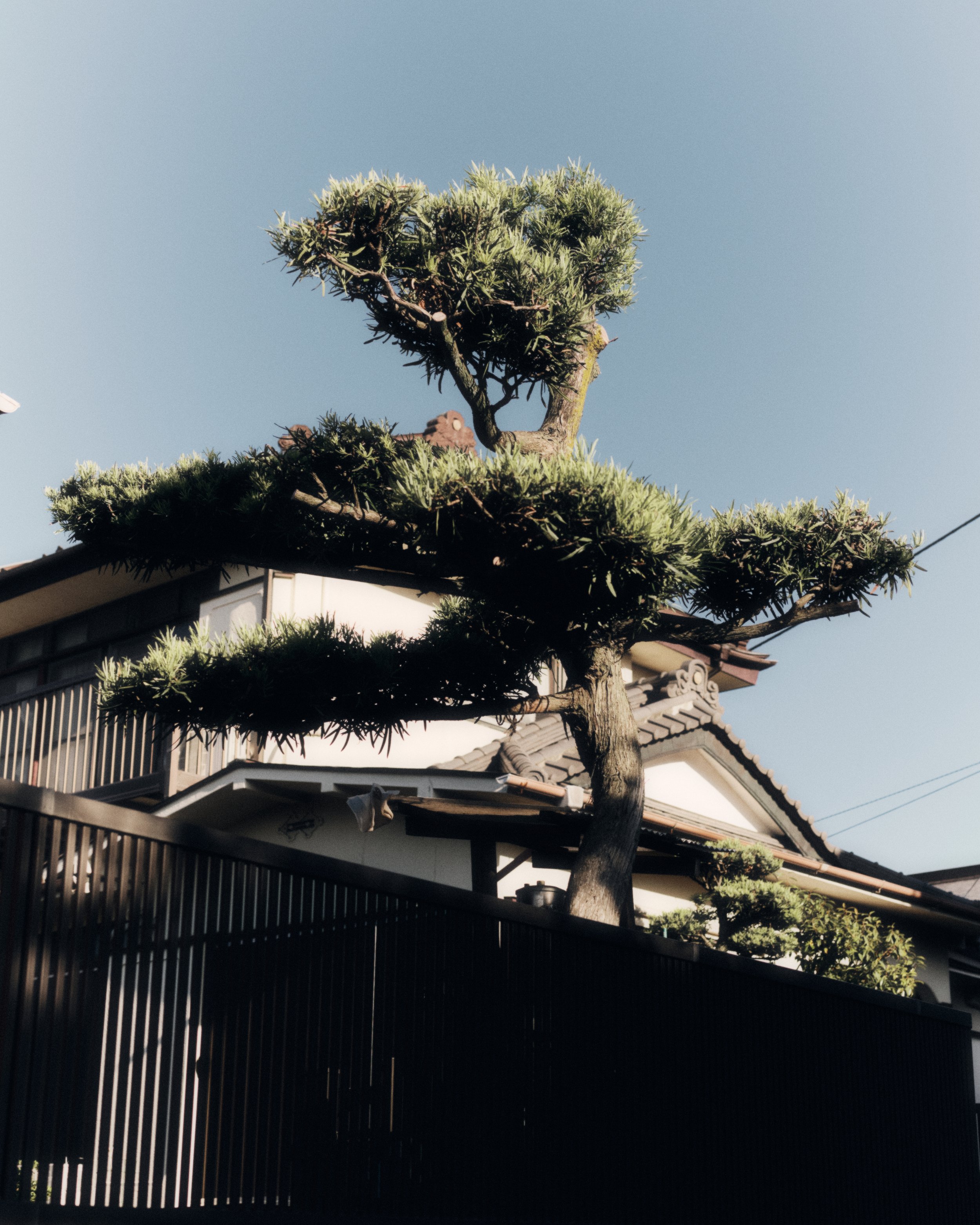 Japan film diary 32.jpg