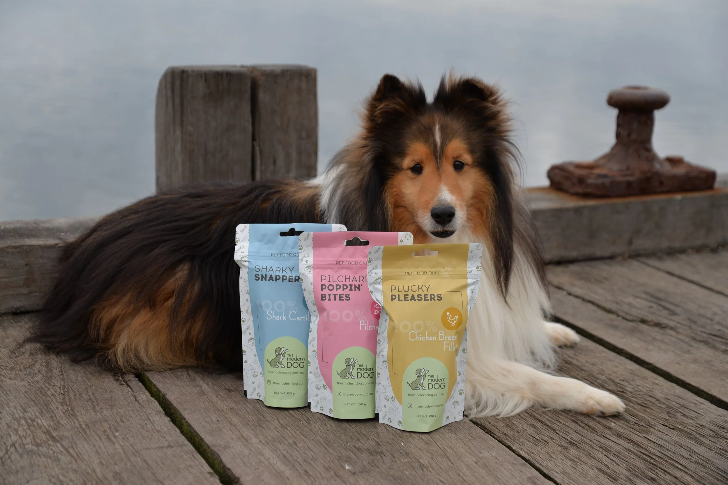 A Shetland Sheepdog lying on a wooden dock near water with three packages of pet treats placed in front of it.