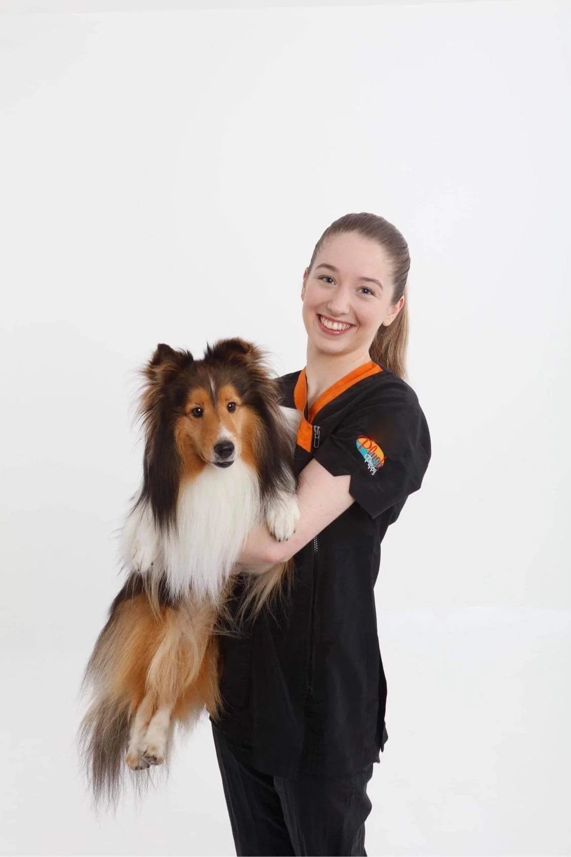 A young woman in a black uniform holding a Shetland Sheepdog in front of a plain white background.