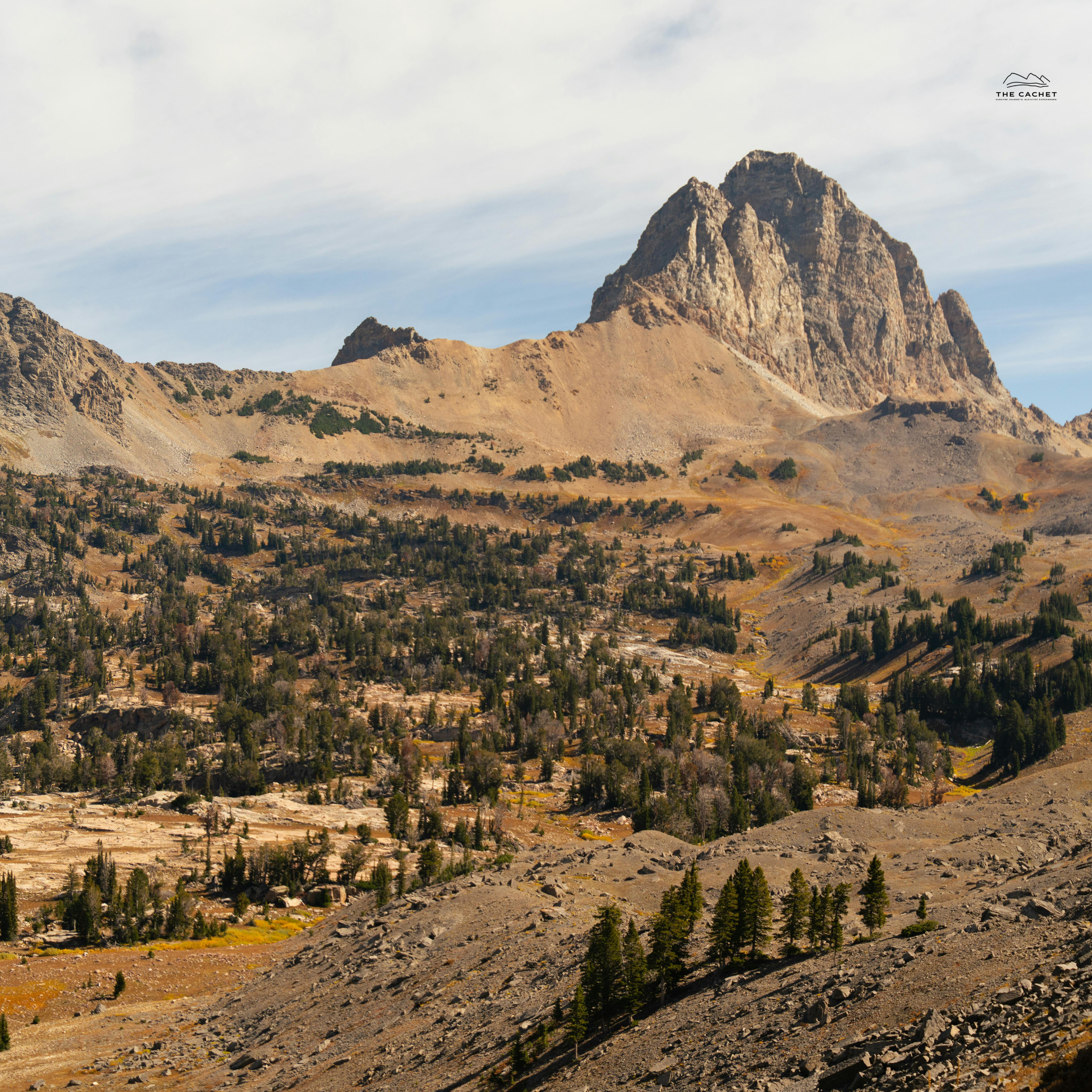 I Want To Go Yesterday