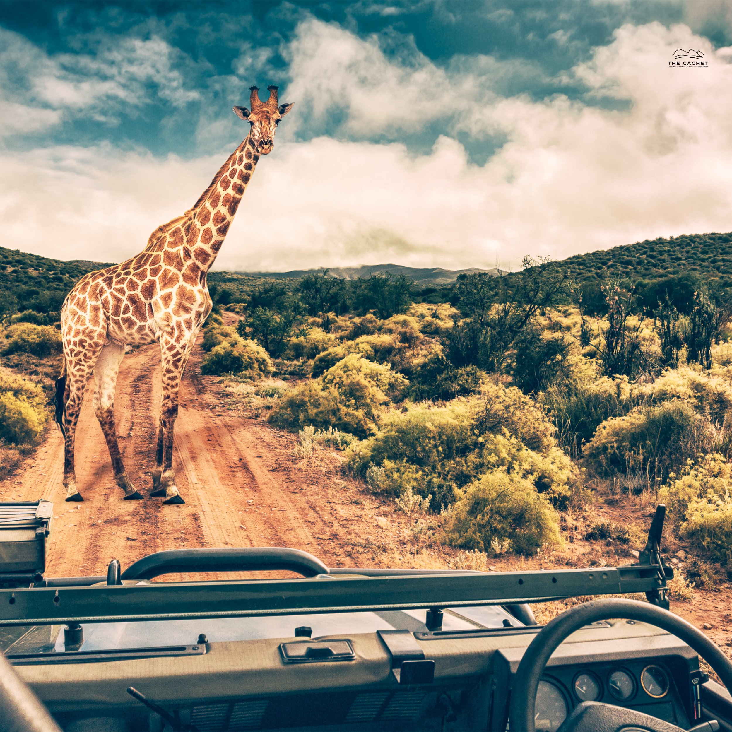 The Signature Collection