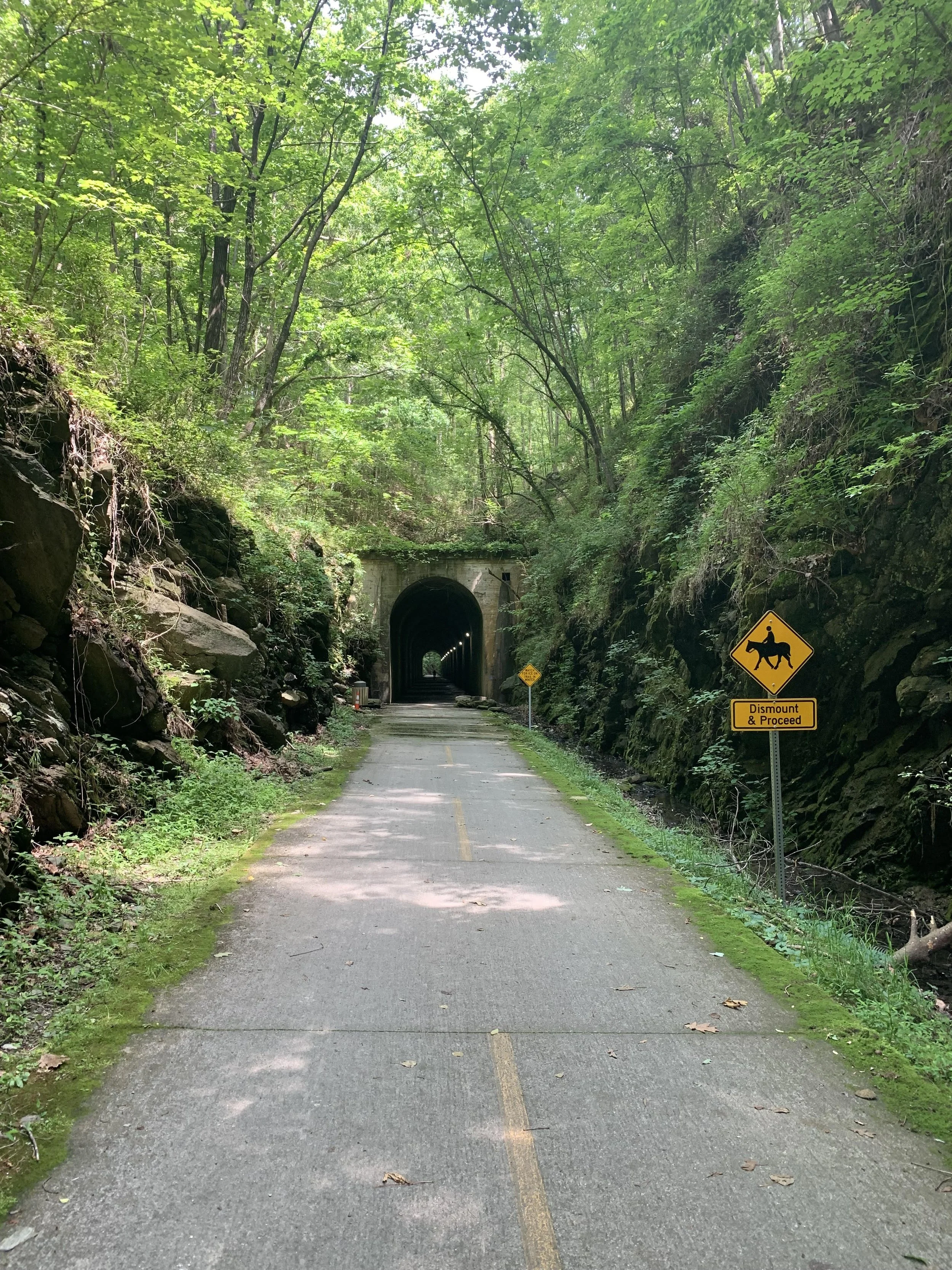 🚴♀️ Pedals, Tunnels, and Coffee: A Ride on the Silver Comet Trail
