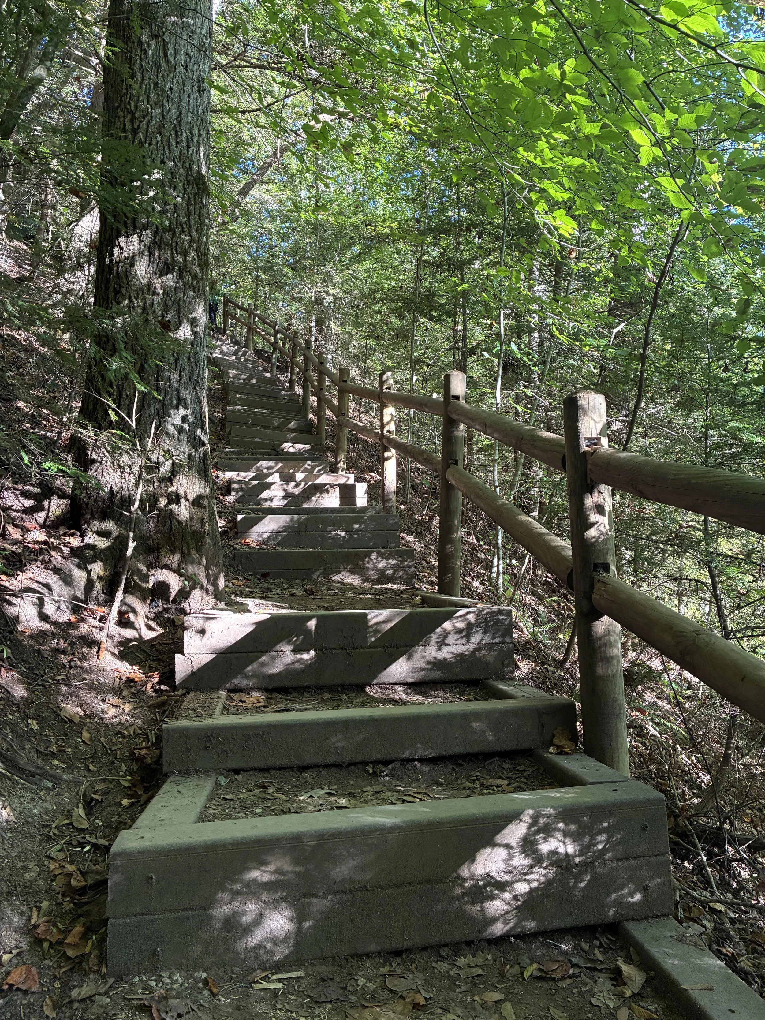 hike.jpg