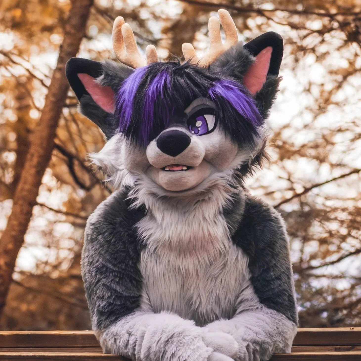 A person in a detailed furry costume of a wolf with purple hair, purple eyes, and deer antlers, sitting at a wooden surface outdoors with fall trees in the background.