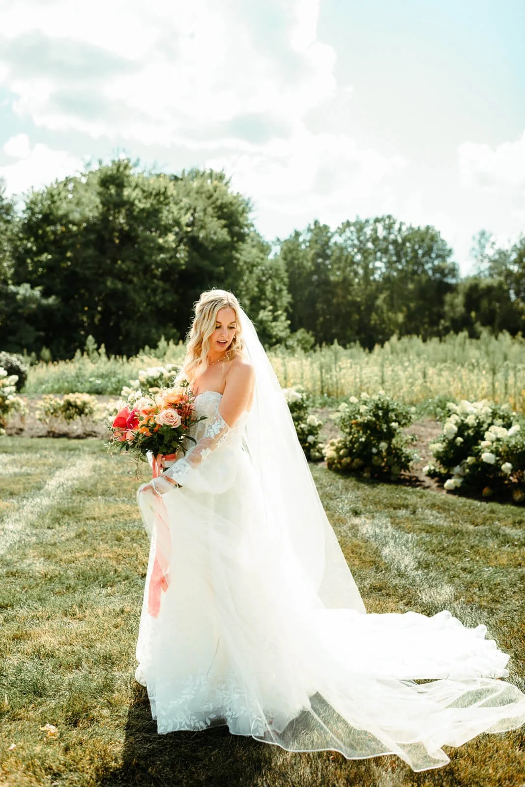 ANwedding_736.jpg