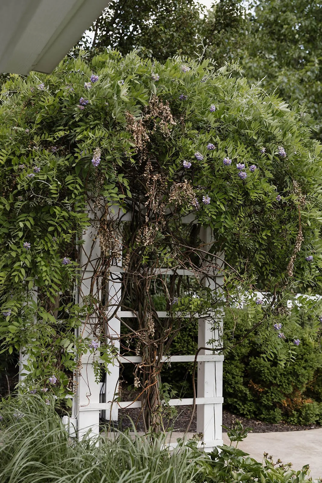 Vallow-110.jpg