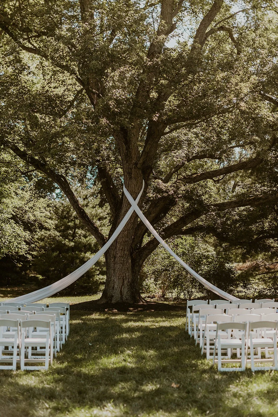 Tree-20.jpg