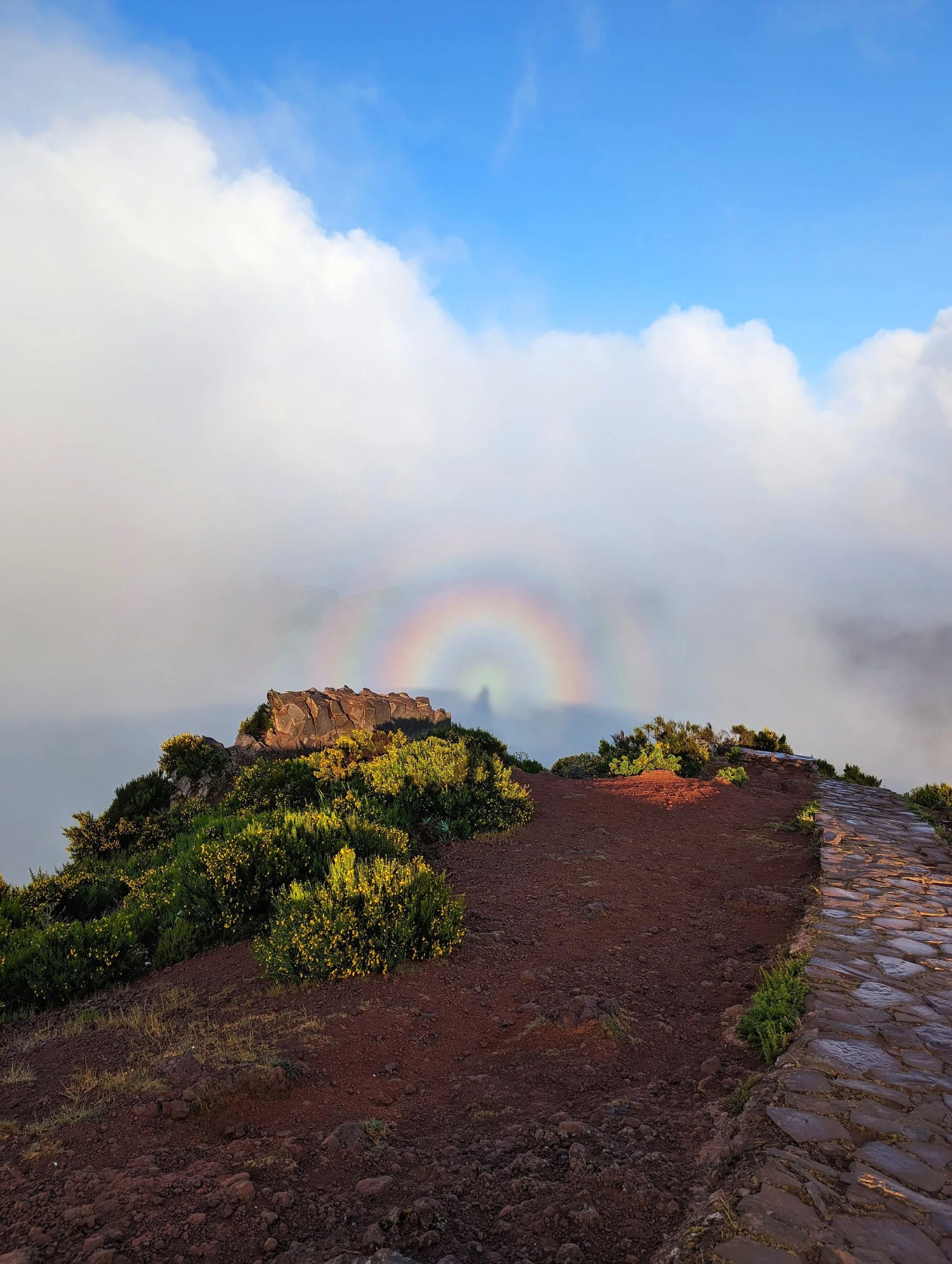 A mountain trail with green bushes, dirt, and stone pathway, with fog, a rainbow, and clouds in the background.