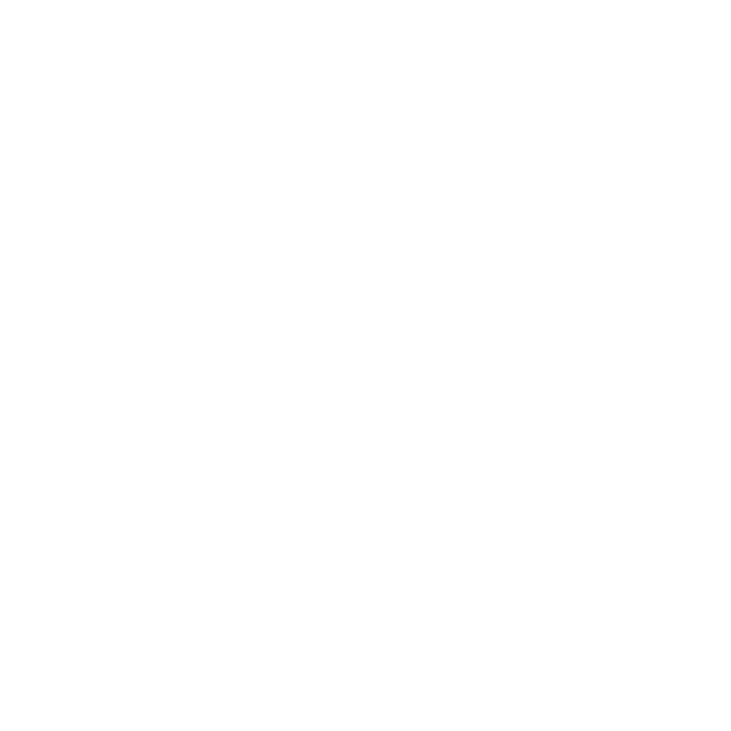 TOMMY BOY KIMBAP