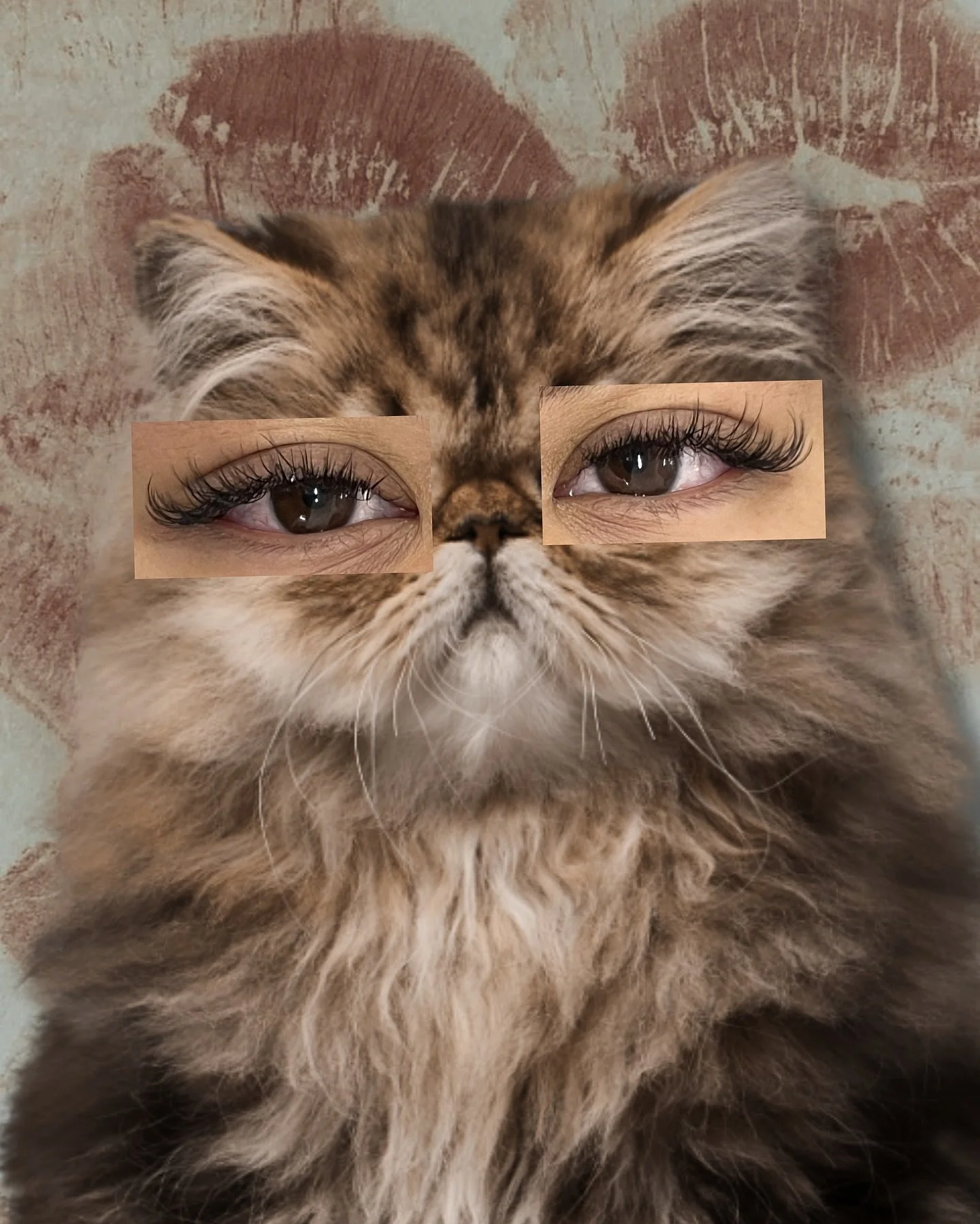 Very sultry ❤️&zwj;🔥 Lash extensions by Maddy  #rockabellabeauty #lashesinperth #perthbeautysalon