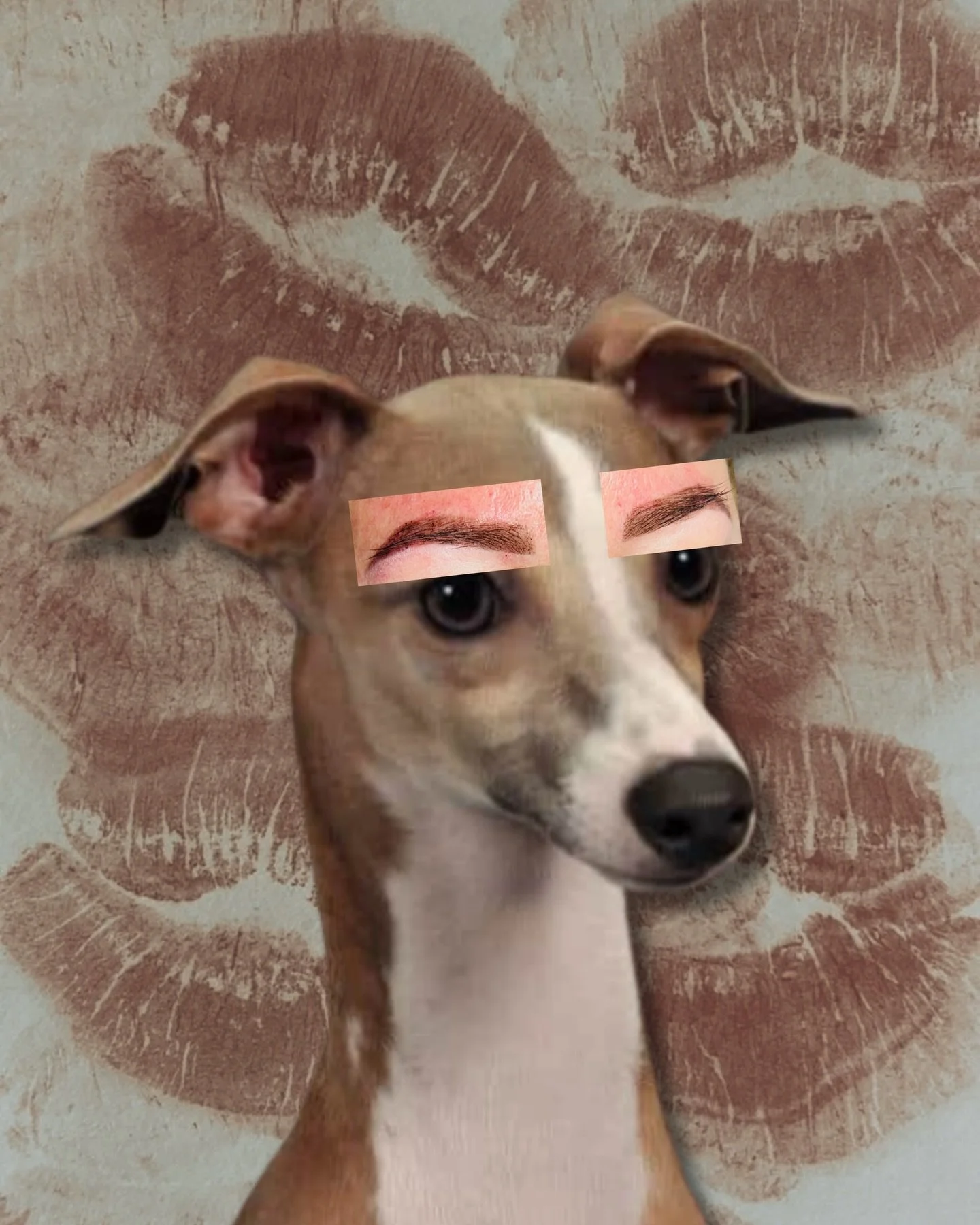 Someone left me in charge of brow content. Am I fired? Hahaha
.
.
.
#funnyatwork #fired #sendhelp #rockabellabeauty #dontfireme