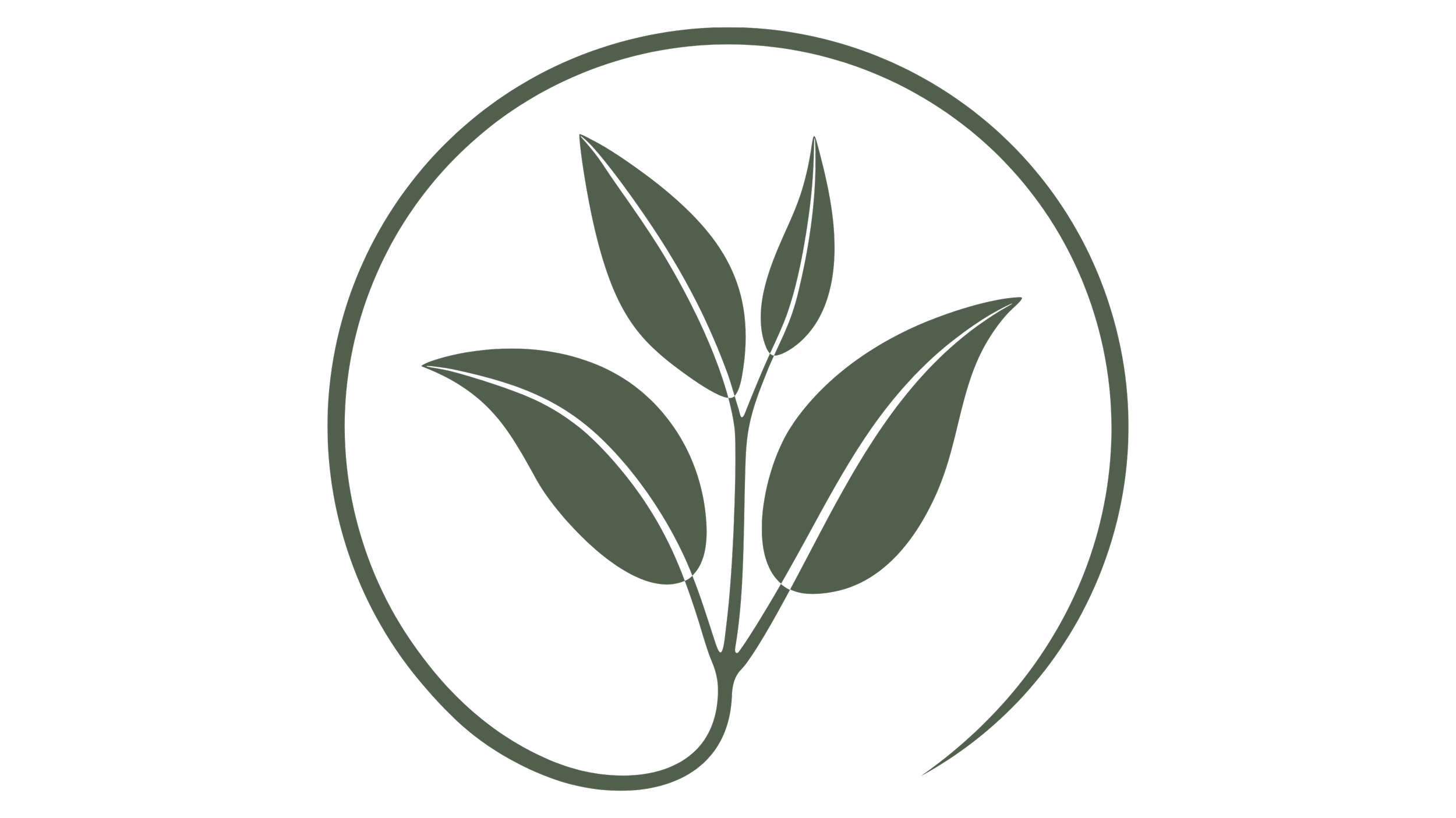 MINT WEBSITE TEMPLATES (43).png