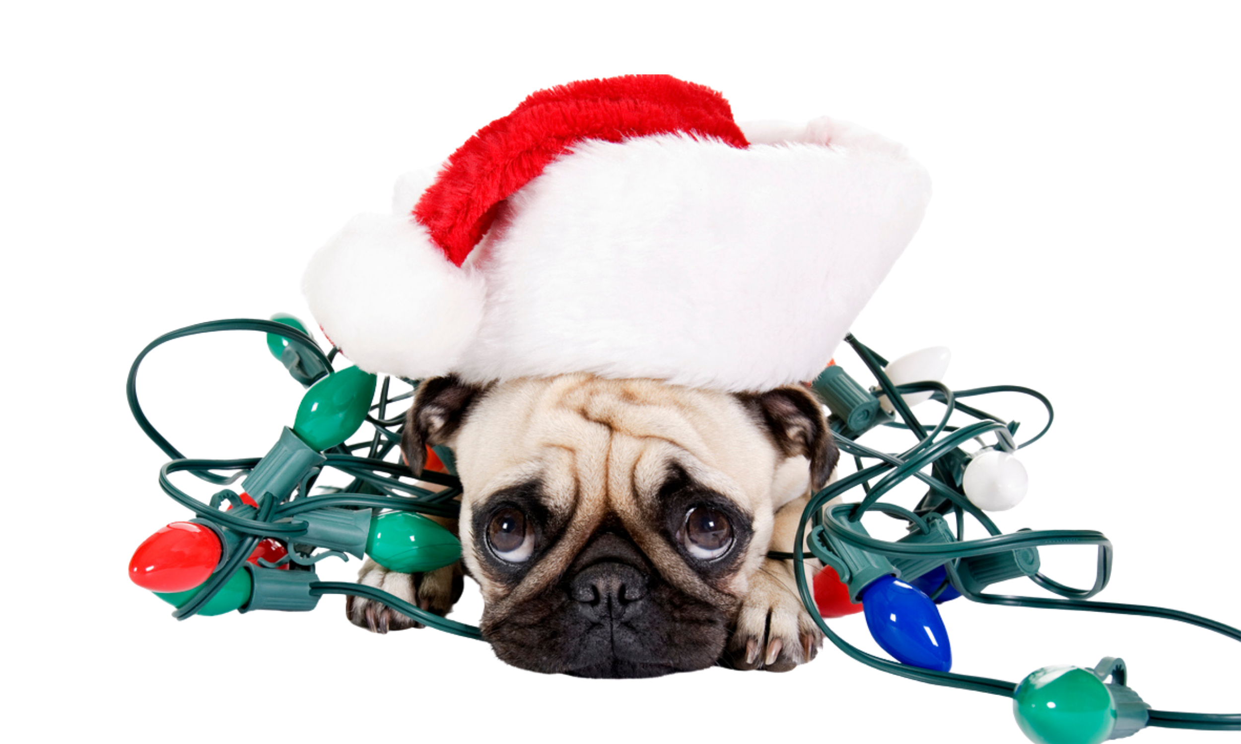 To My Friends in Ministry this Christmas
