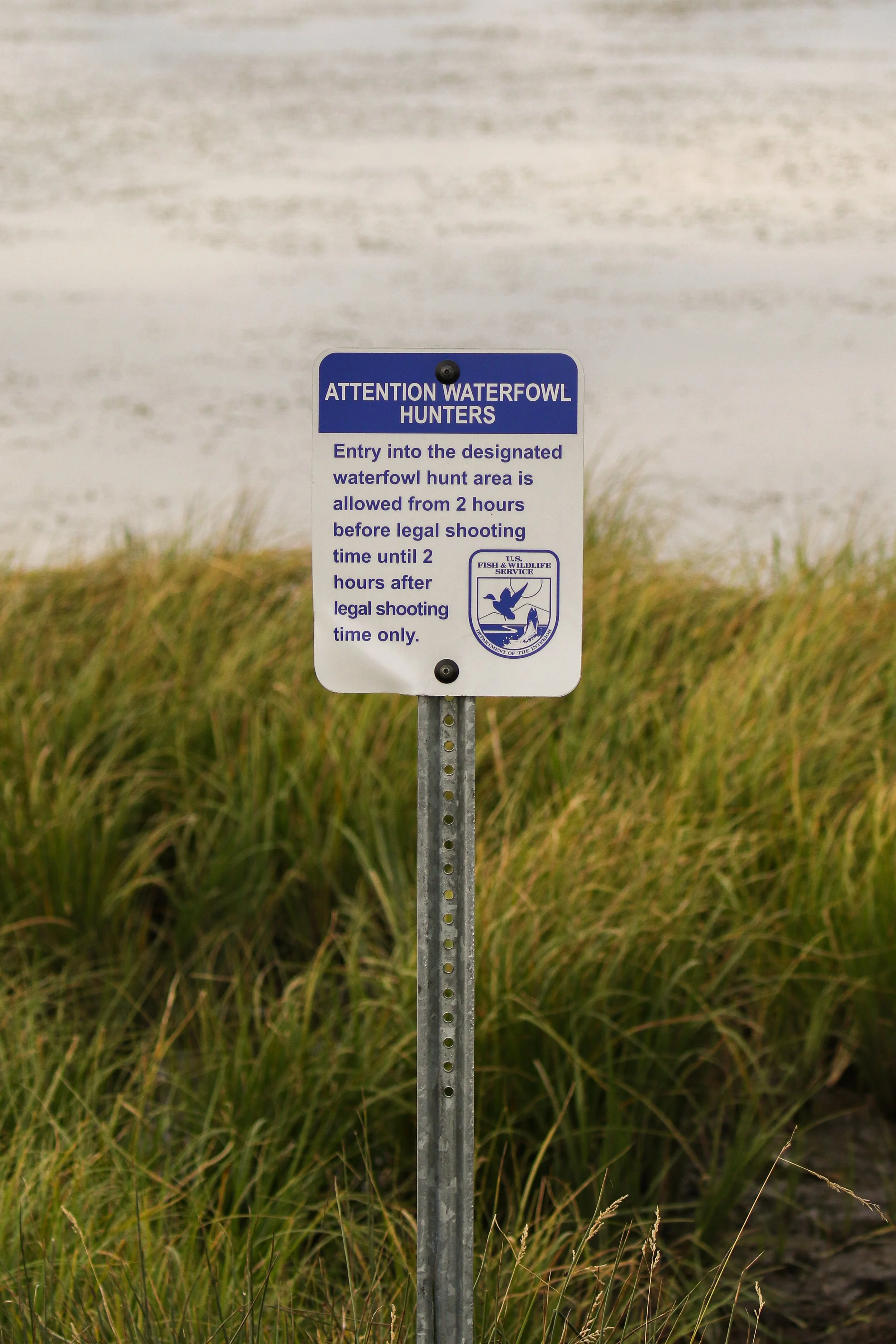 AE678D7E-2EE7-4407-A15D-81F2FA828F15.jpg