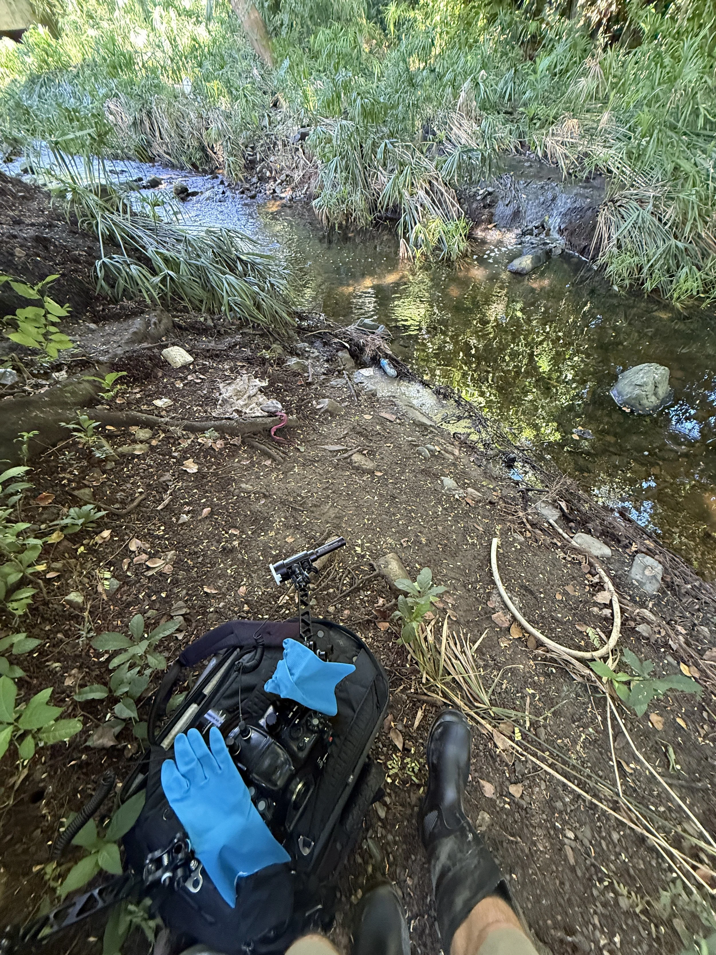  Once I smelled the water,  I left to go buy rubber boots and gloves before going in. 