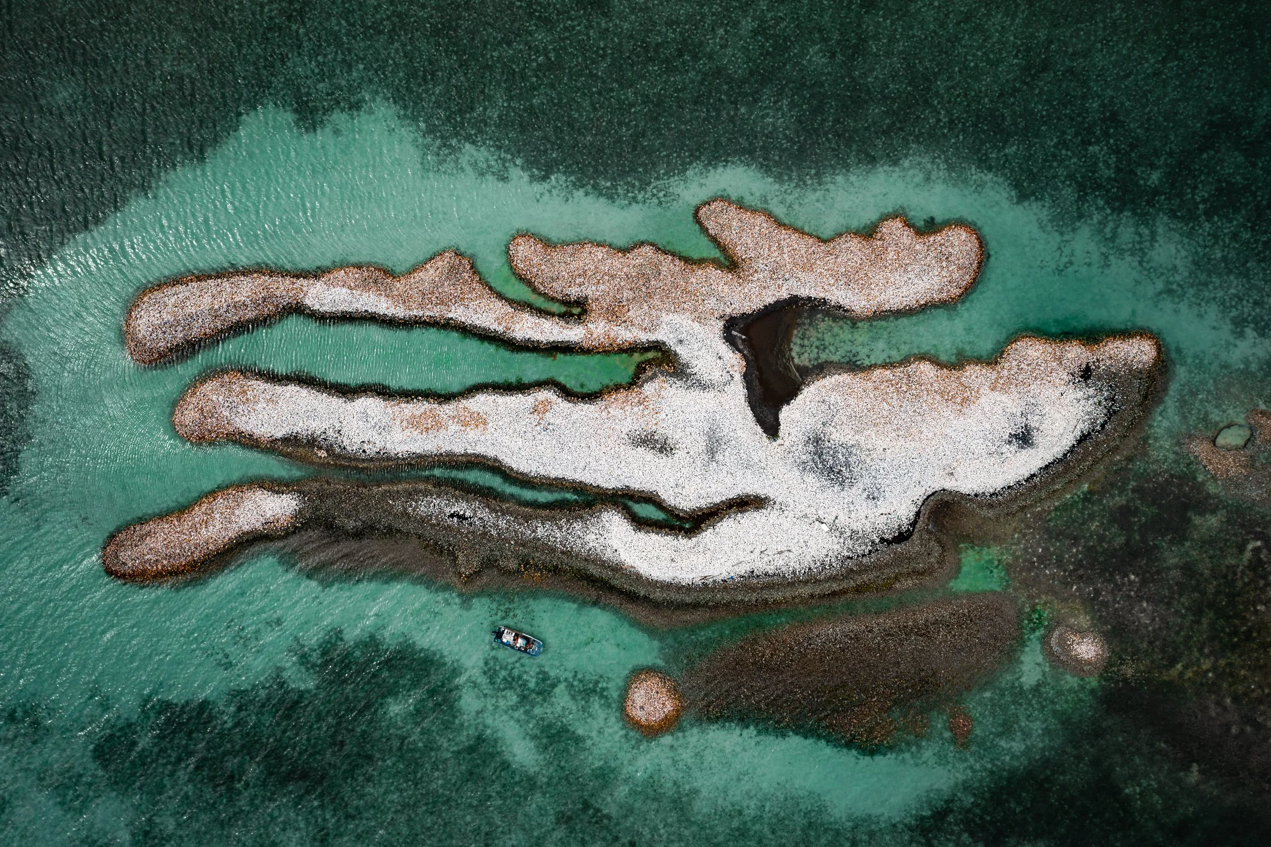 ConchMidden_BVI.jpg