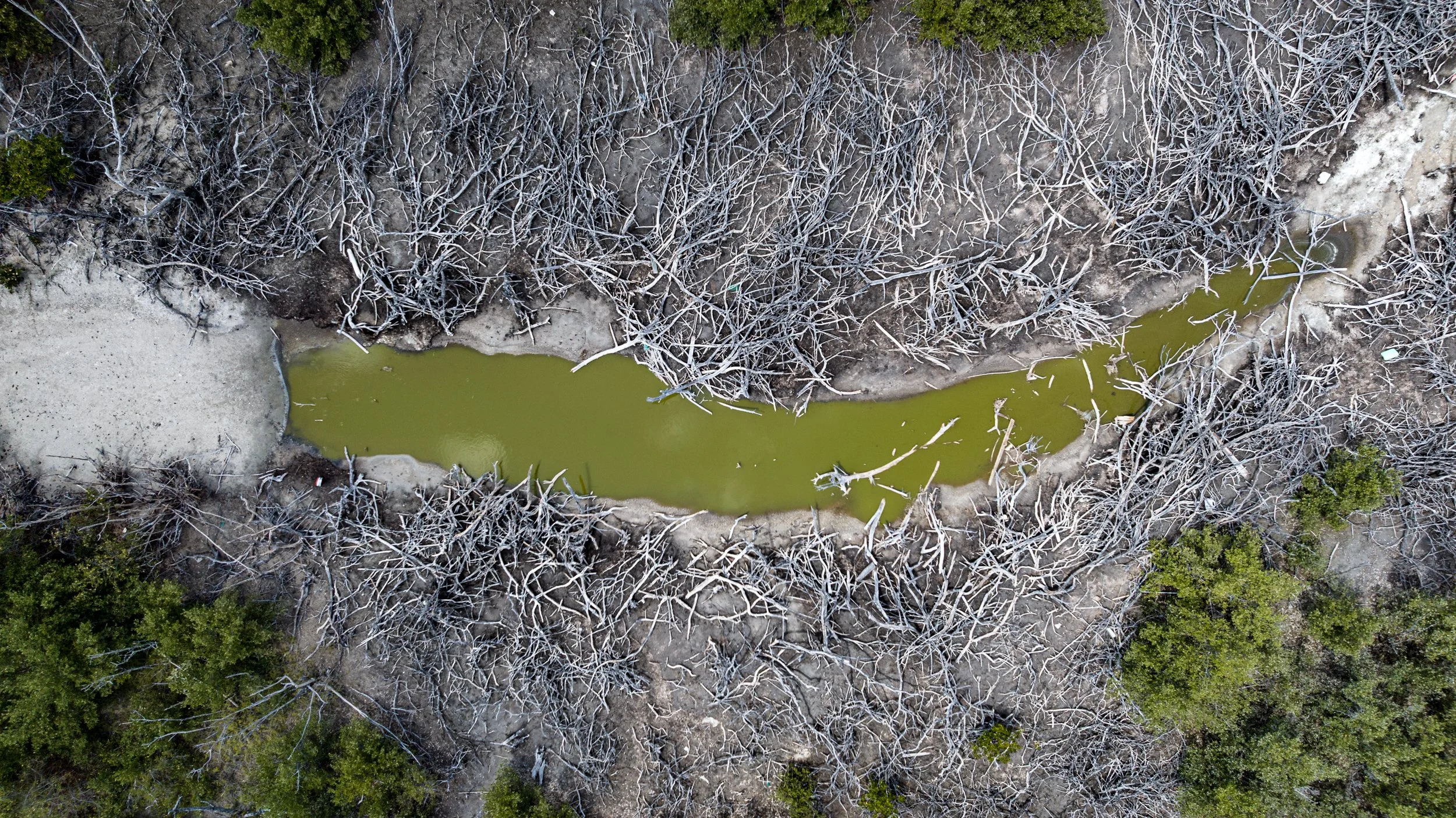 GreatPond_Drone-6.jpg
