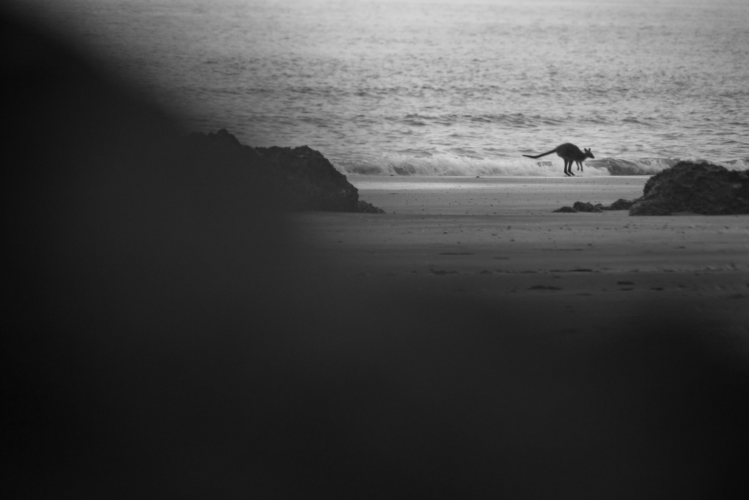 WallabyBeach.jpg