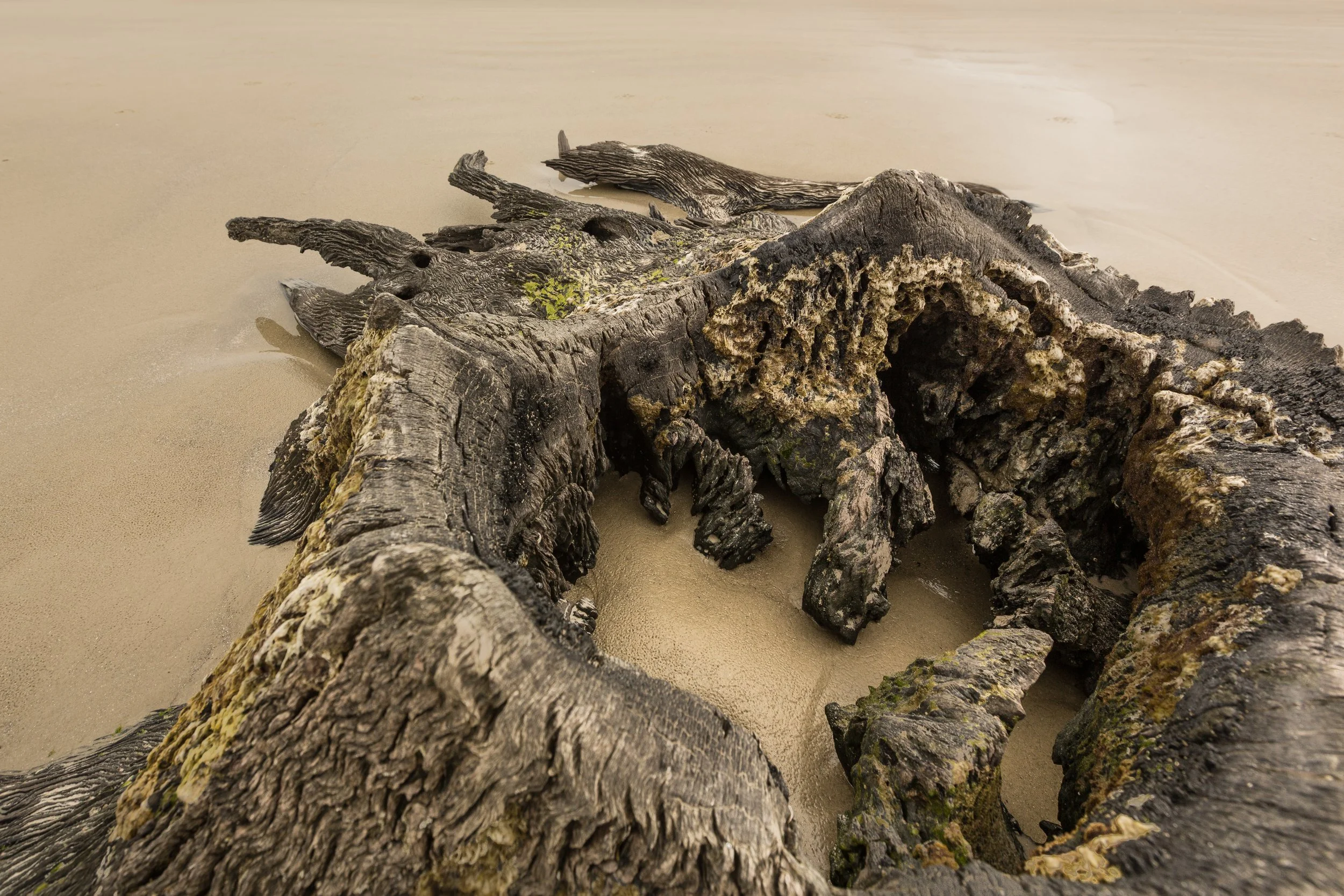 Jekyll Island, Georgia