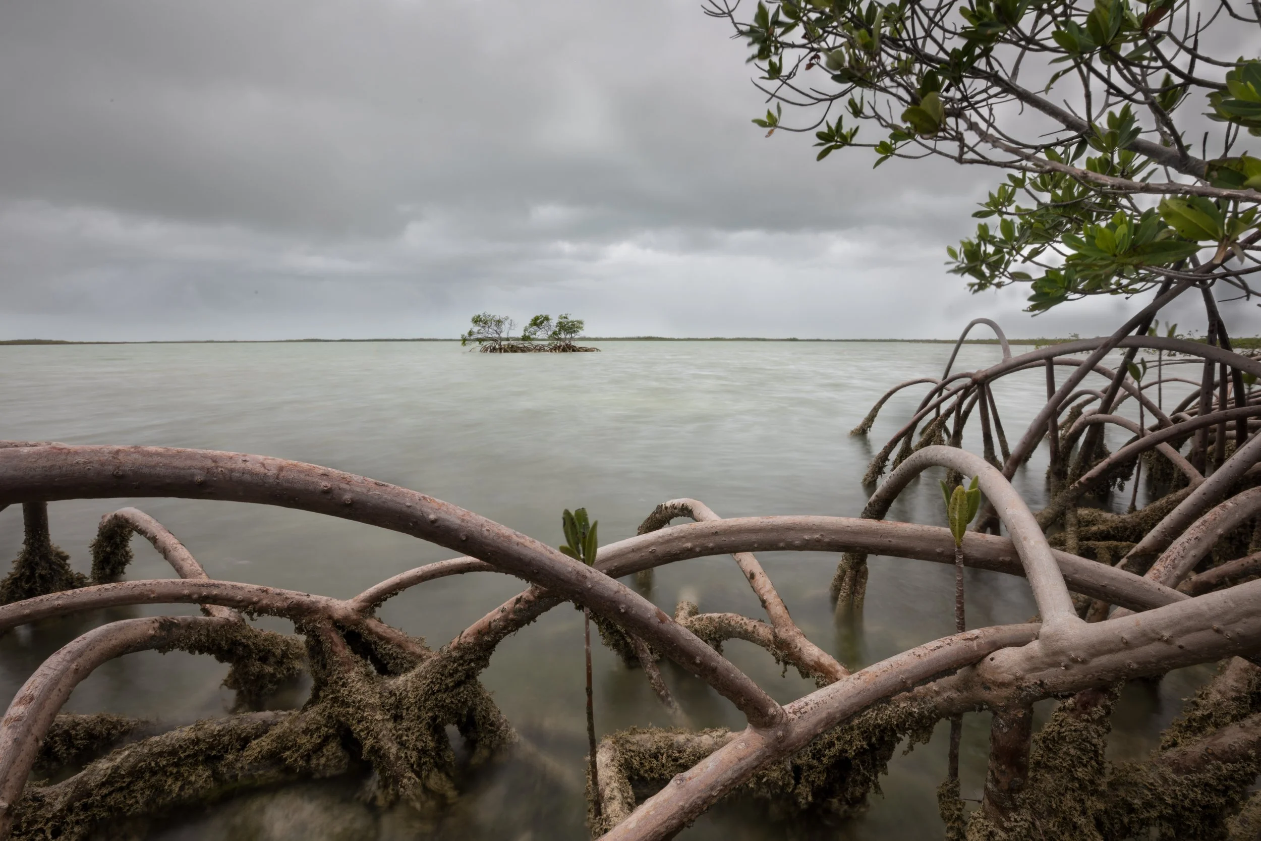 Florida Keys